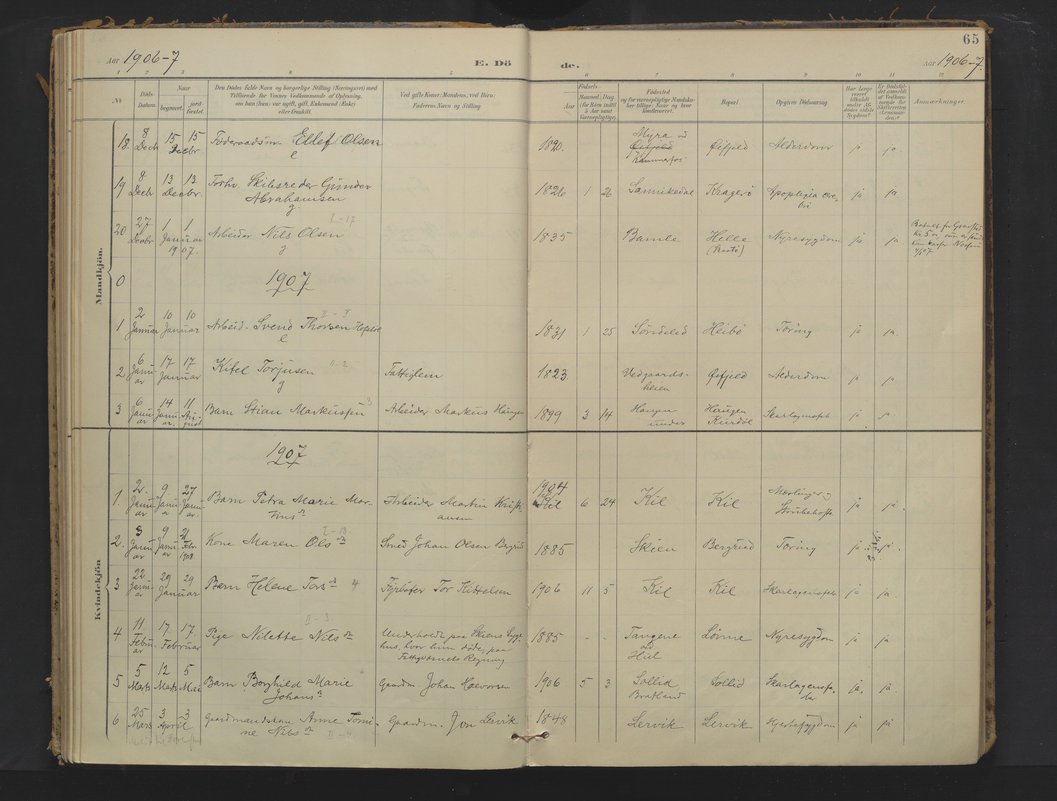 Sannidal kirkebøker, AV/SAKO-A-296/F/Fa/L0018: Ministerialbok nr. 18, 1900-1918, s. 65