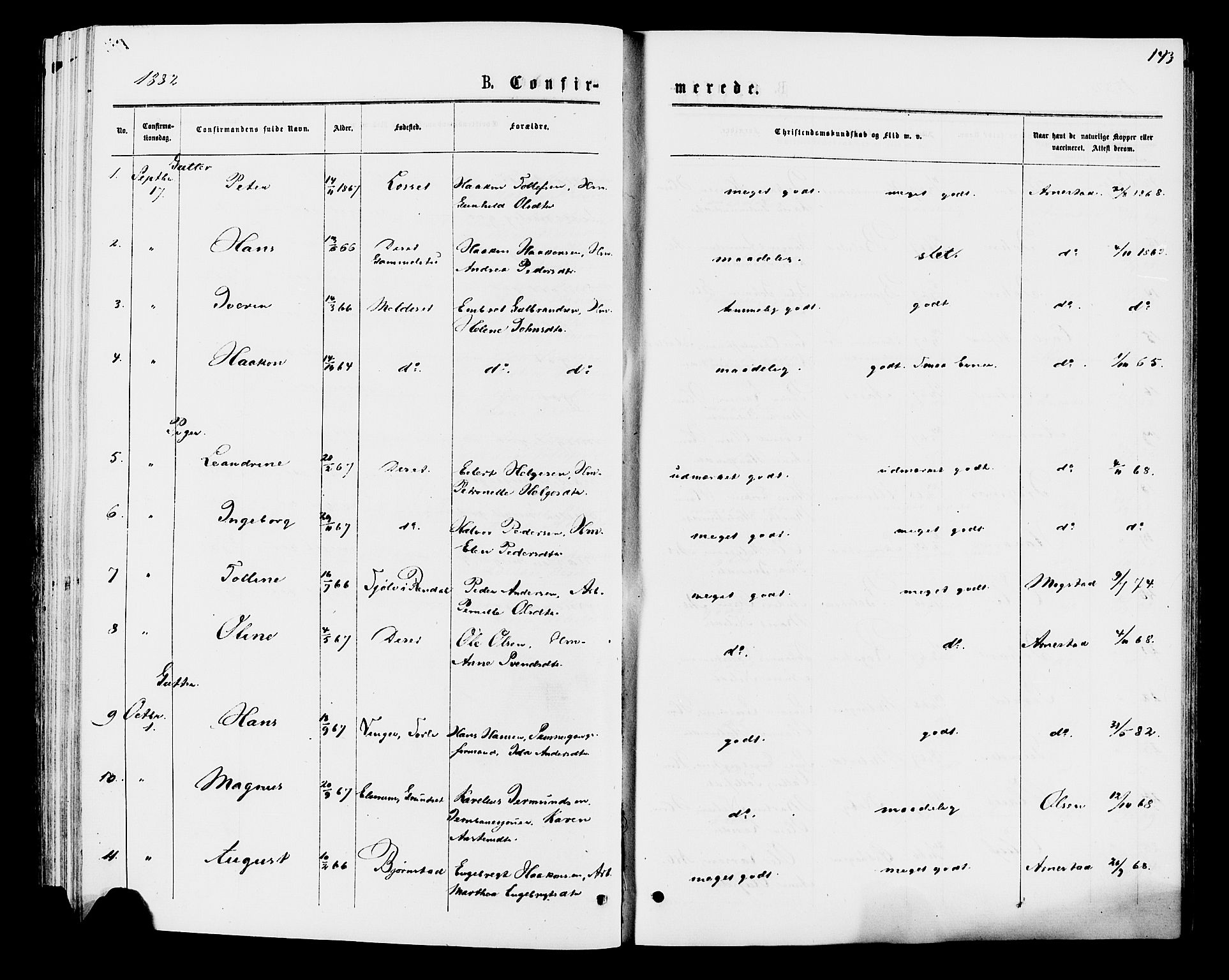 Åmot prestekontor, Hedmark, AV/SAH-PREST-056/H/Ha/Haa/L0009: Ministerialbok nr. 9, 1875-1883, s. 143