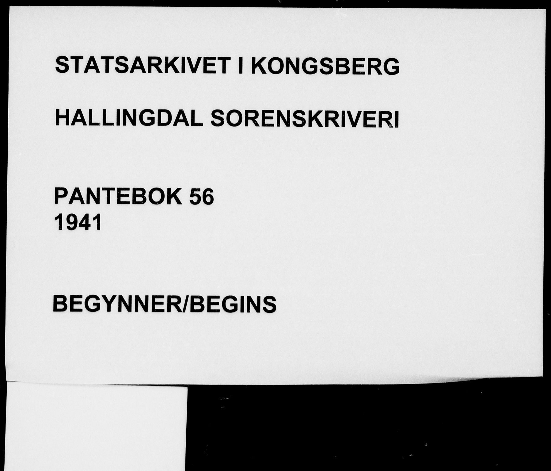 Hallingdal sorenskriveri, SAKO/A-121/G/Ga/L0056: Pantebok nr. 56, 1941-1941