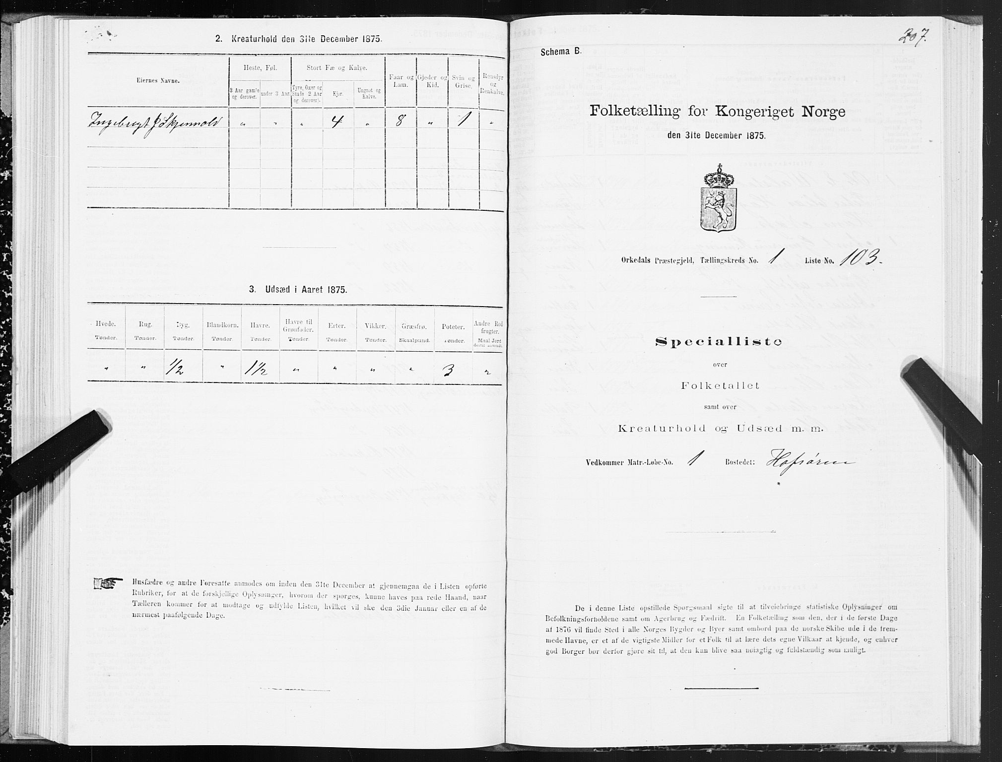 SAT, Folketelling 1875 for 1638P Orkdal prestegjeld, 1875, s. 1207