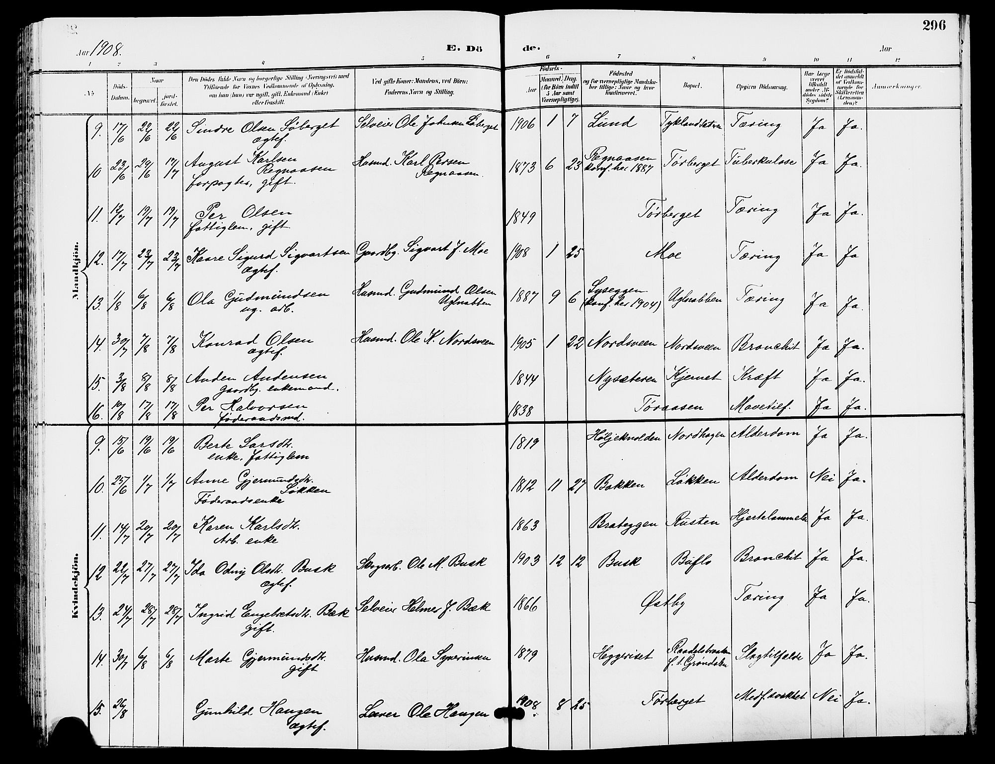 Trysil prestekontor, AV/SAH-PREST-046/H/Ha/Hab/L0006: Klokkerbok nr. 6, 1896-1912, s. 296