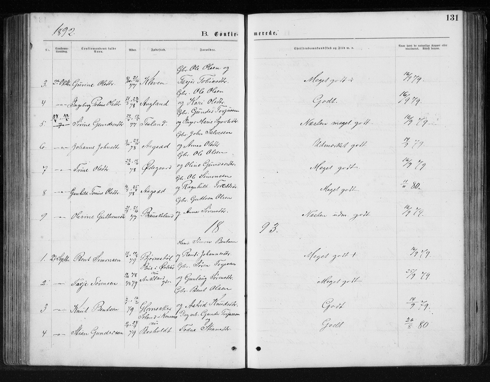 Holum sokneprestkontor, SAK/1111-0022/F/Fb/Fbb/L0003: Klokkerbok nr. B 3, 1875-1898, s. 131