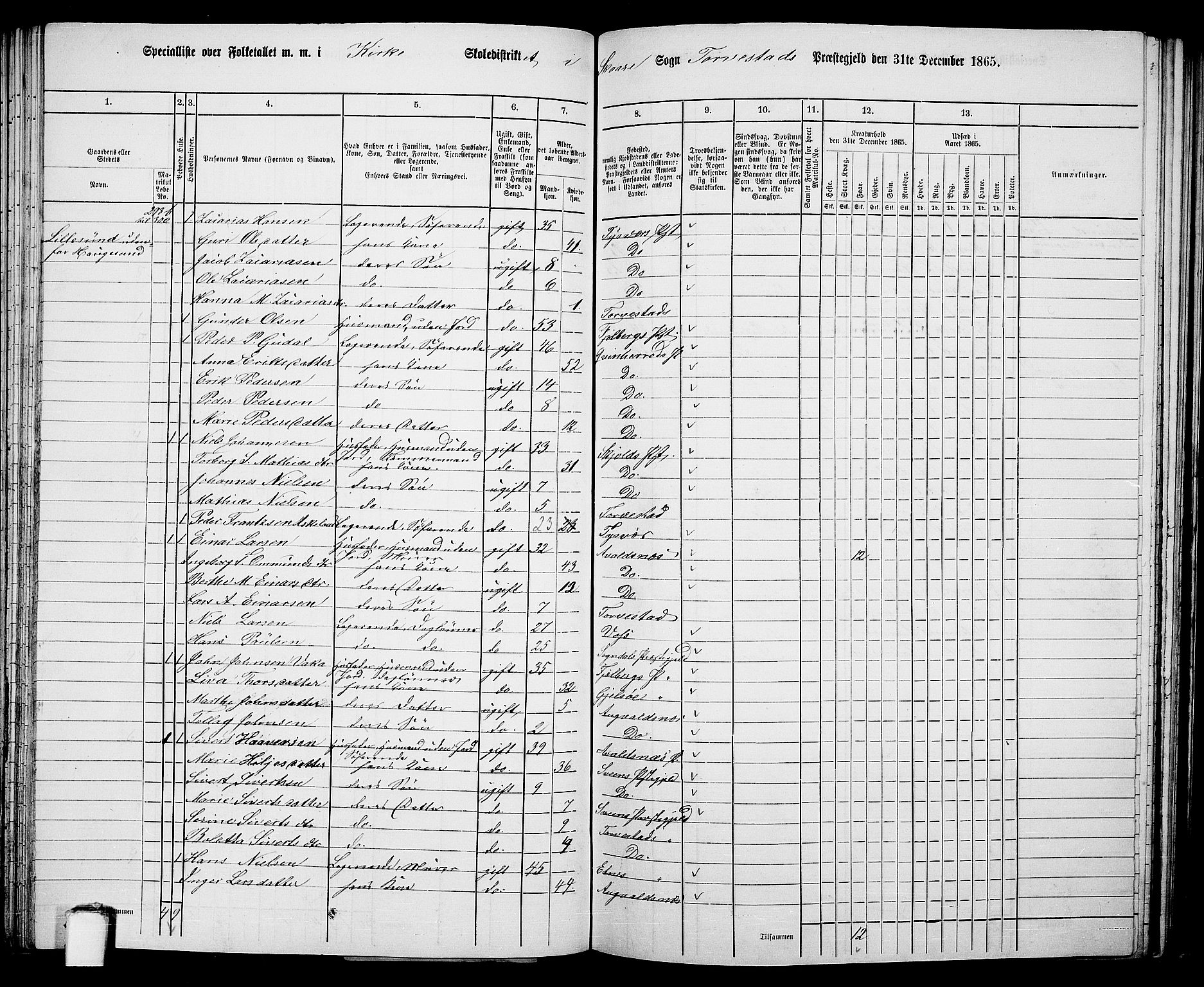 RA, Folketelling 1865 for 1152L Torvastad prestegjeld, Torvastad sokn, Skåre sokn og Utsira sokn, 1865, s. 95