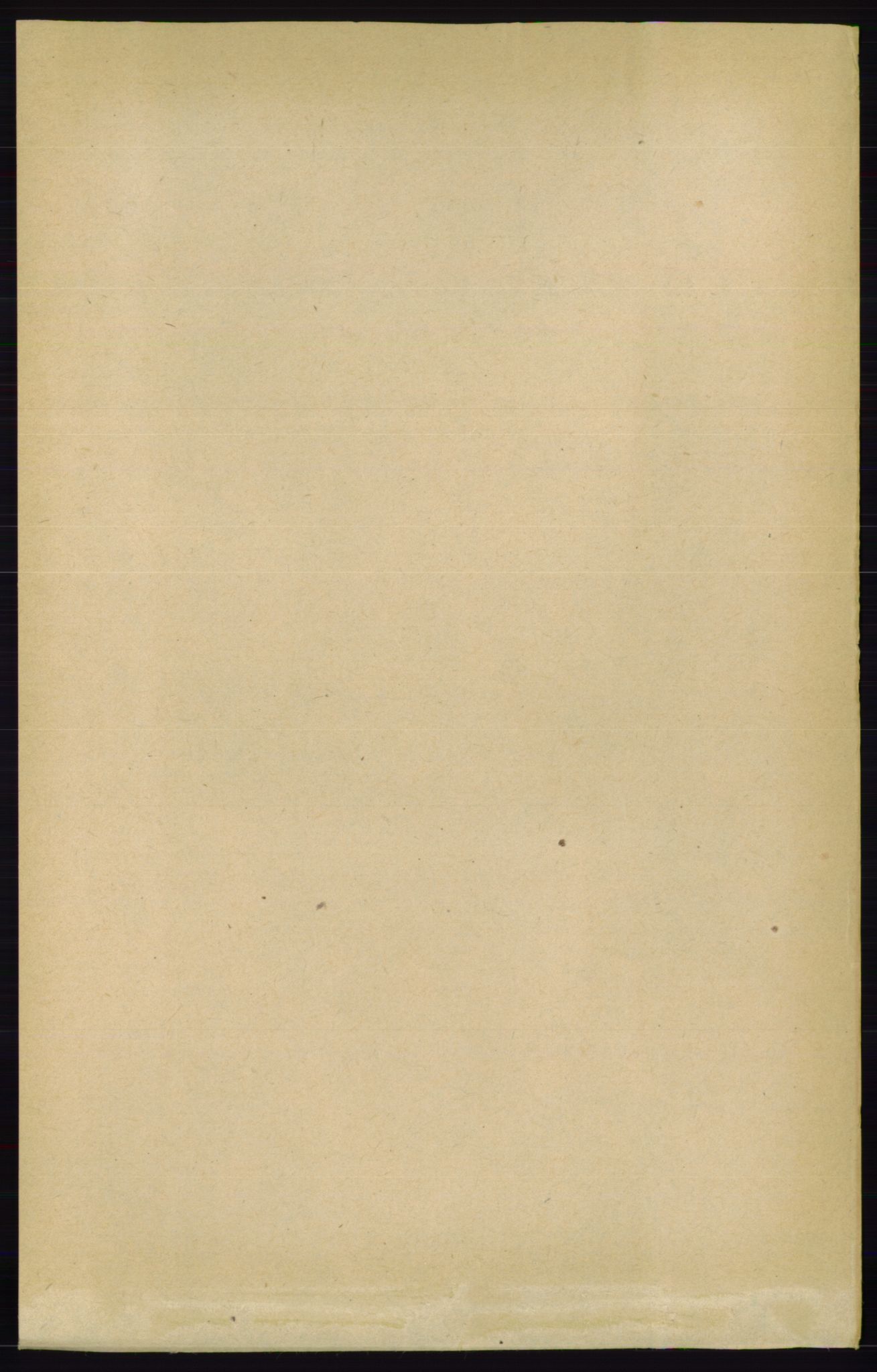 RA, Folketelling 1891 for 0828 Seljord herred, 1891, s. 980