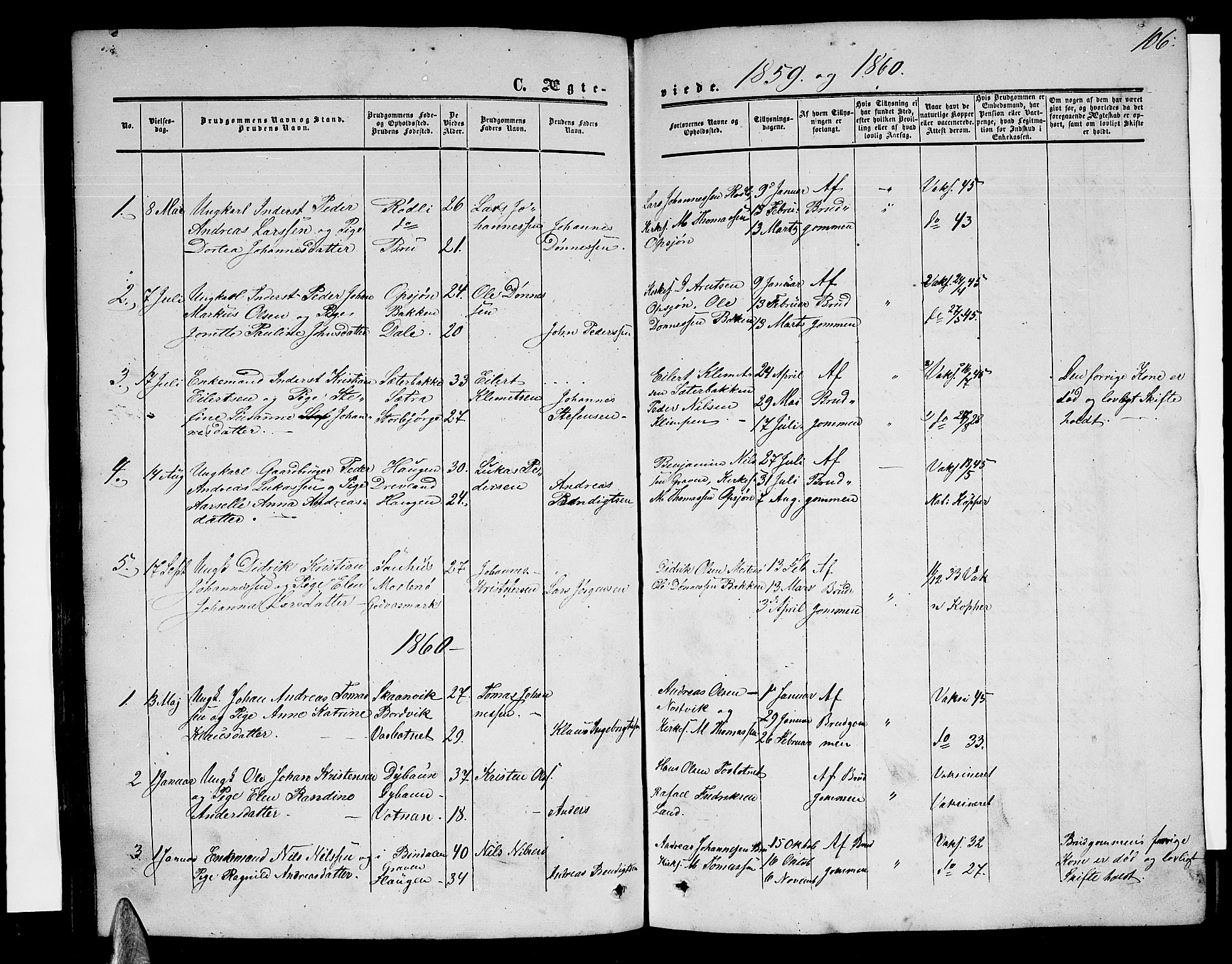 Ministerialprotokoller, klokkerbøker og fødselsregistre - Nordland, SAT/A-1459/814/L0229: Klokkerbok nr. 814C02, 1859-1883, s. 106