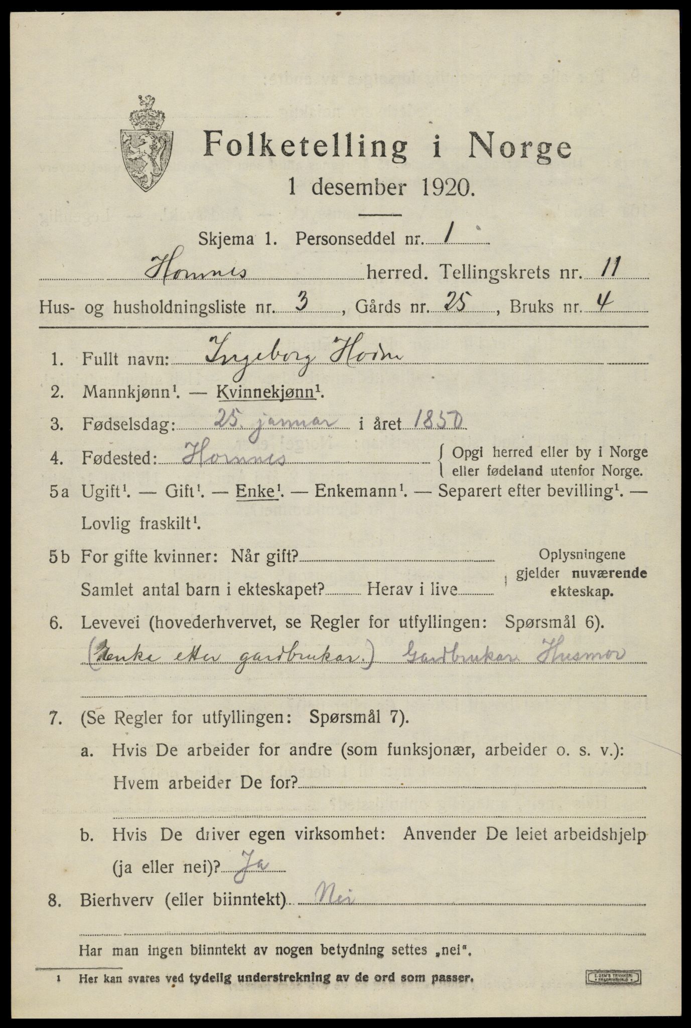 SAK, Folketelling 1920 for 0936 Hornnes herred, 1920, s. 2663