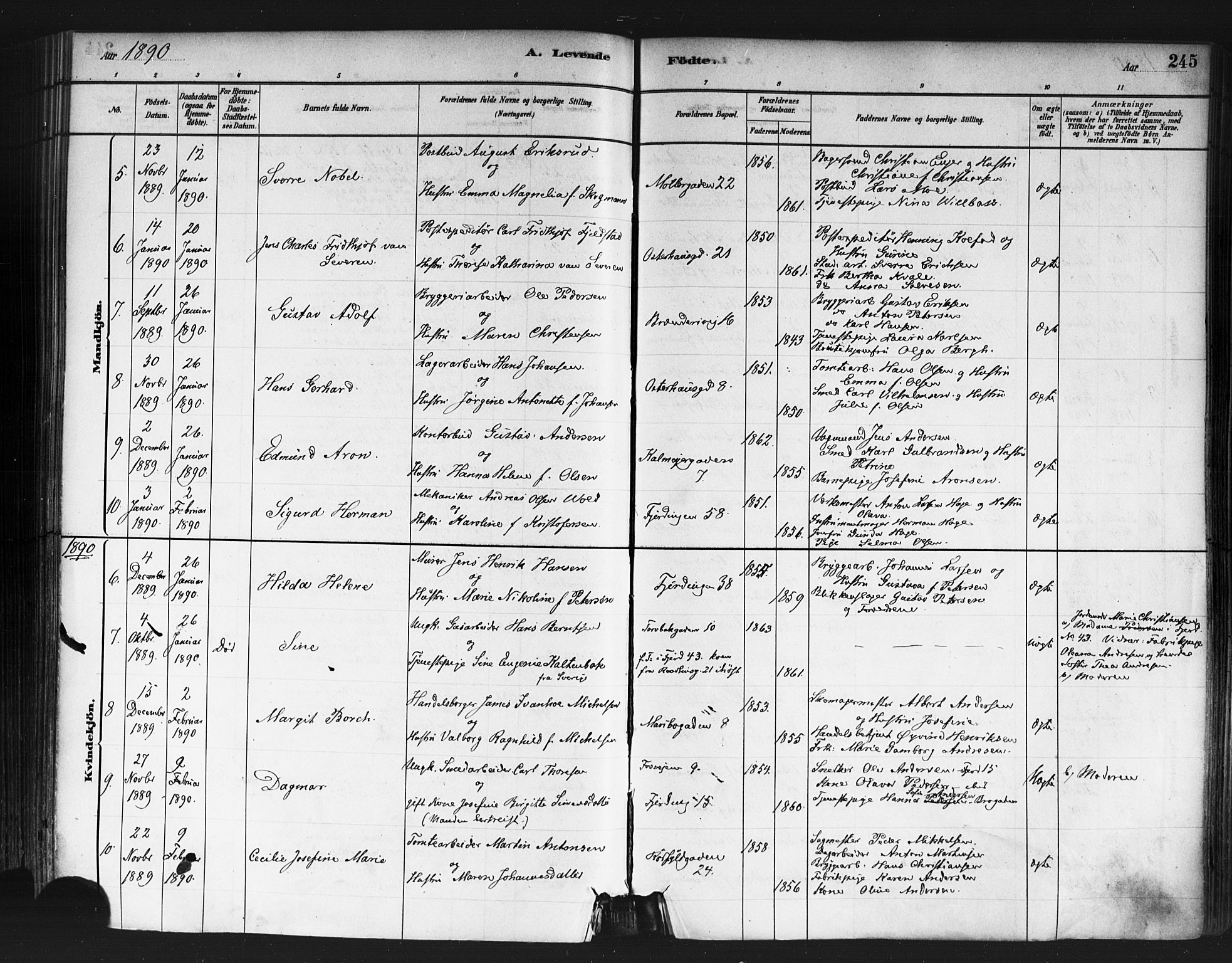Jakob prestekontor Kirkebøker, AV/SAO-A-10850/F/Fa/L0003: Ministerialbok nr. 3, 1880-1895, s. 245