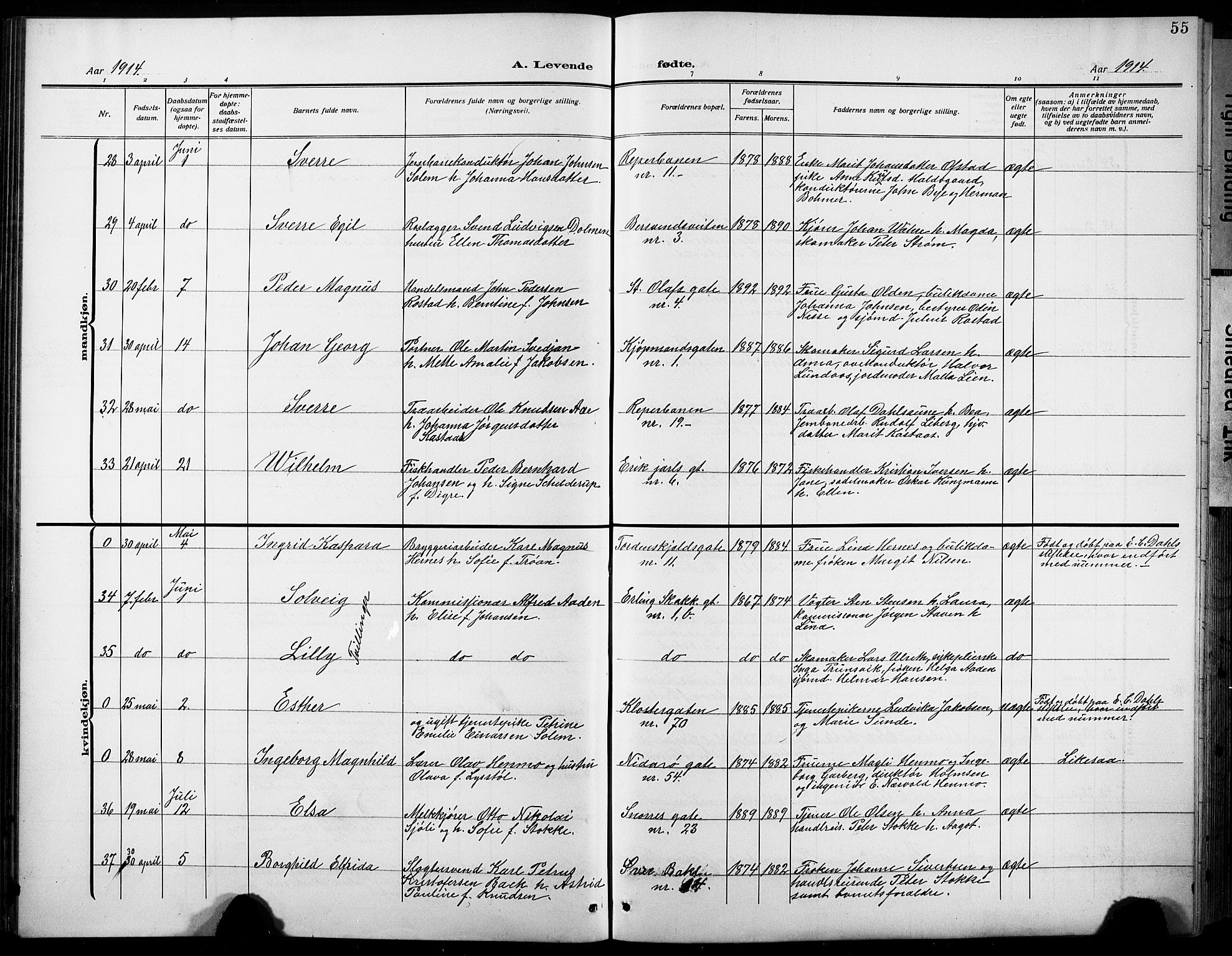 Ministerialprotokoller, klokkerbøker og fødselsregistre - Sør-Trøndelag, SAT/A-1456/601/L0096: Klokkerbok nr. 601C14, 1911-1931, s. 55