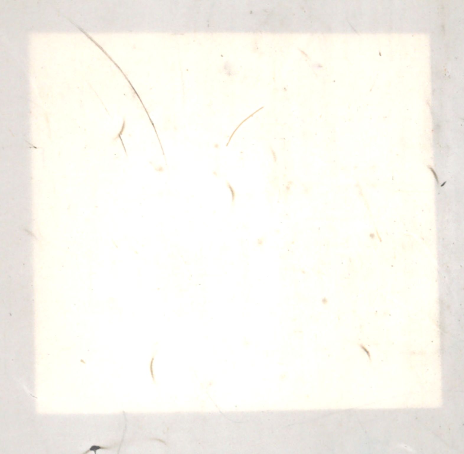 Møre og Romsdal vegkontor - Ålesund trafikkstasjon, AV/SAT-A-4099/F/Fe/L0040: Registreringskort for kjøretøy T 13531 - T 13709, 1927-1998, s. 702