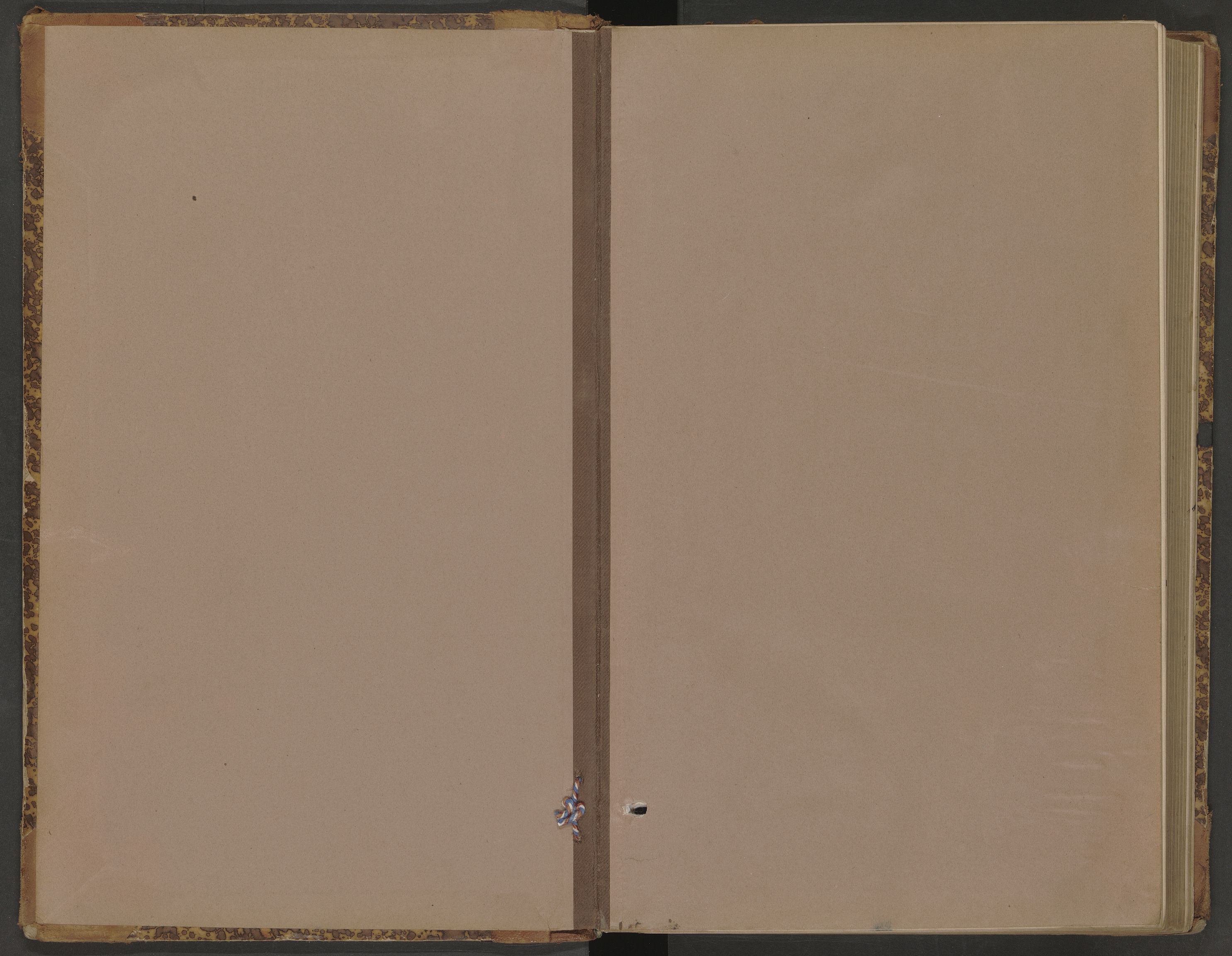 Seljord lensmannskontor, AV/SAKO-A-572/Y/Ye/Yeb/L0001: Skjematakstprotokoll, 1894-1903