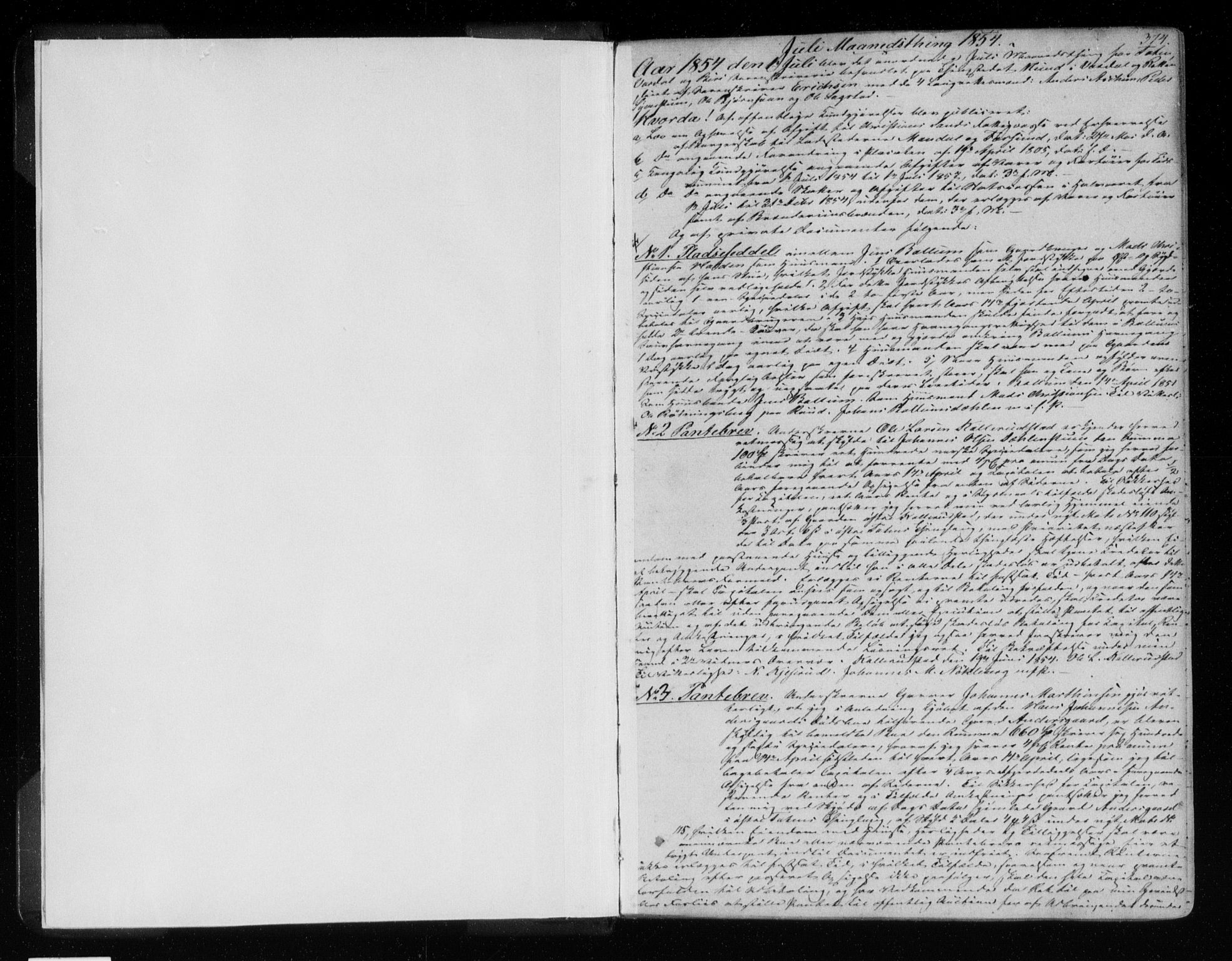 Toten tingrett, AV/SAH-TING-006/H/Hb/Hba/L0009b: Pantebok nr. 9b, 1854-1858, s. 374