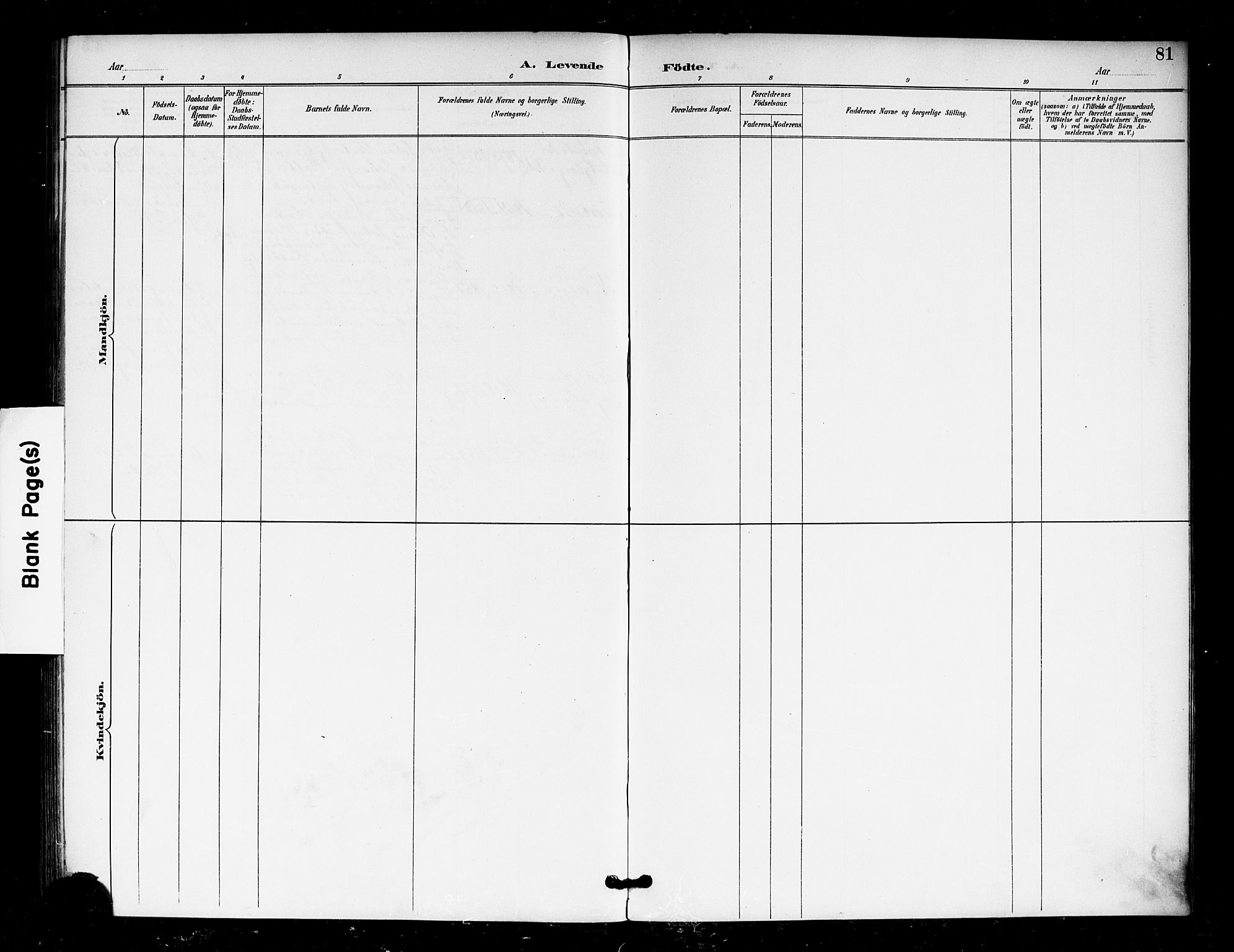 Eidsberg prestekontor Kirkebøker, SAO/A-10905/F/Fa/L0013: Ministerialbok nr. I 13, 1890-1901, s. 81