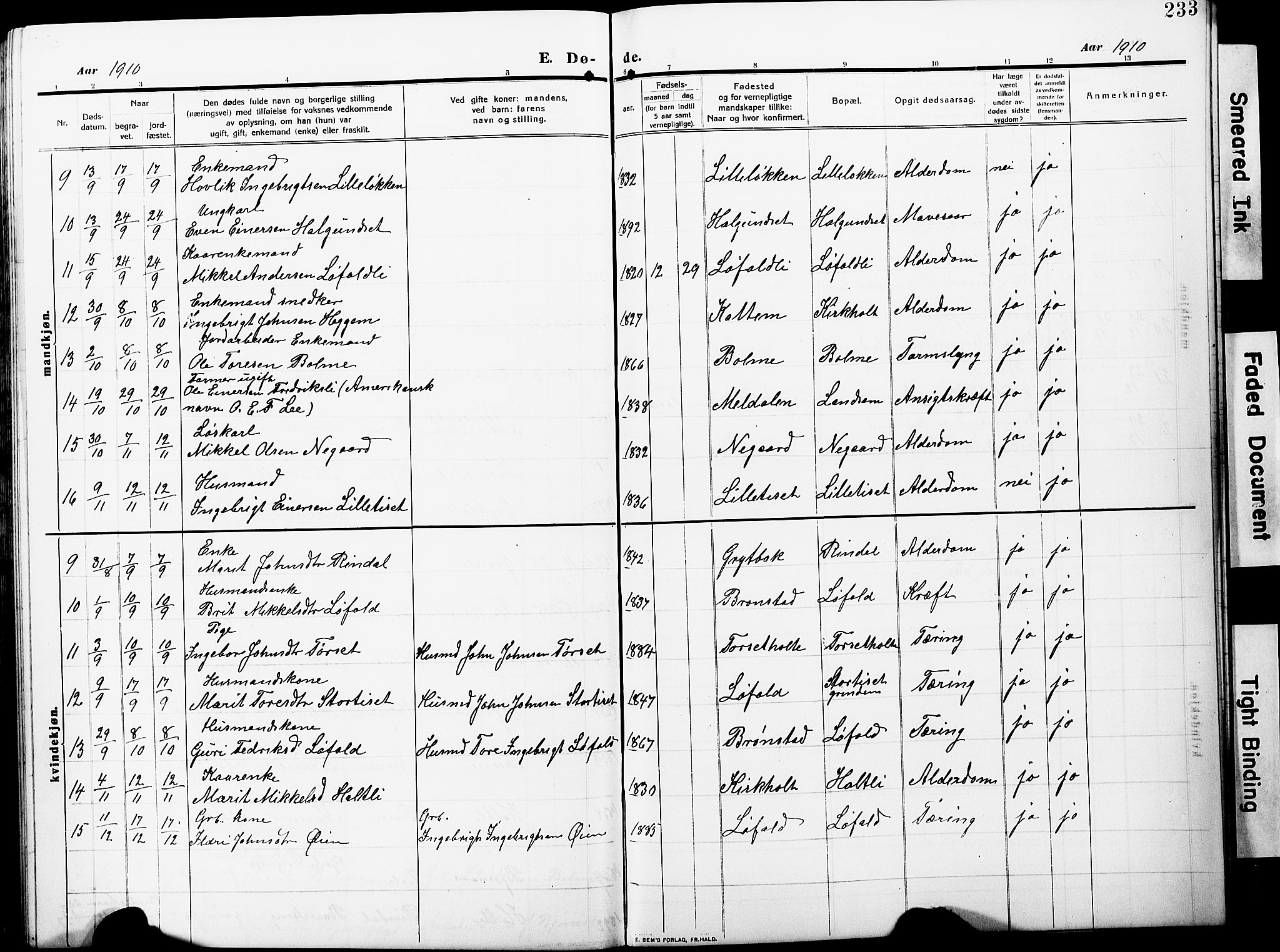 Ministerialprotokoller, klokkerbøker og fødselsregistre - Møre og Romsdal, AV/SAT-A-1454/598/L1079: Klokkerbok nr. 598C04, 1909-1927, s. 233