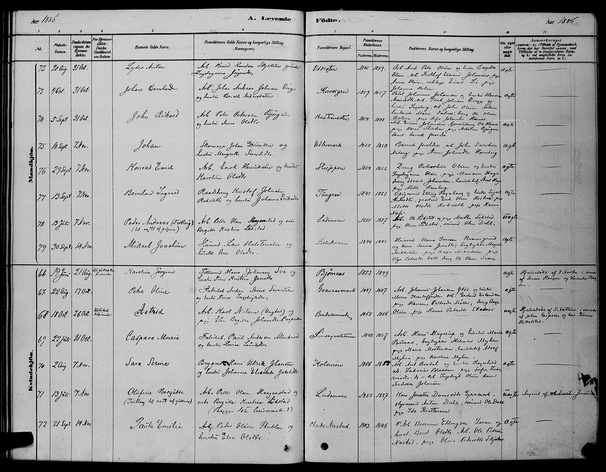 Ministerialprotokoller, klokkerbøker og fødselsregistre - Sør-Trøndelag, AV/SAT-A-1456/606/L0312: Klokkerbok nr. 606C08, 1878-1894