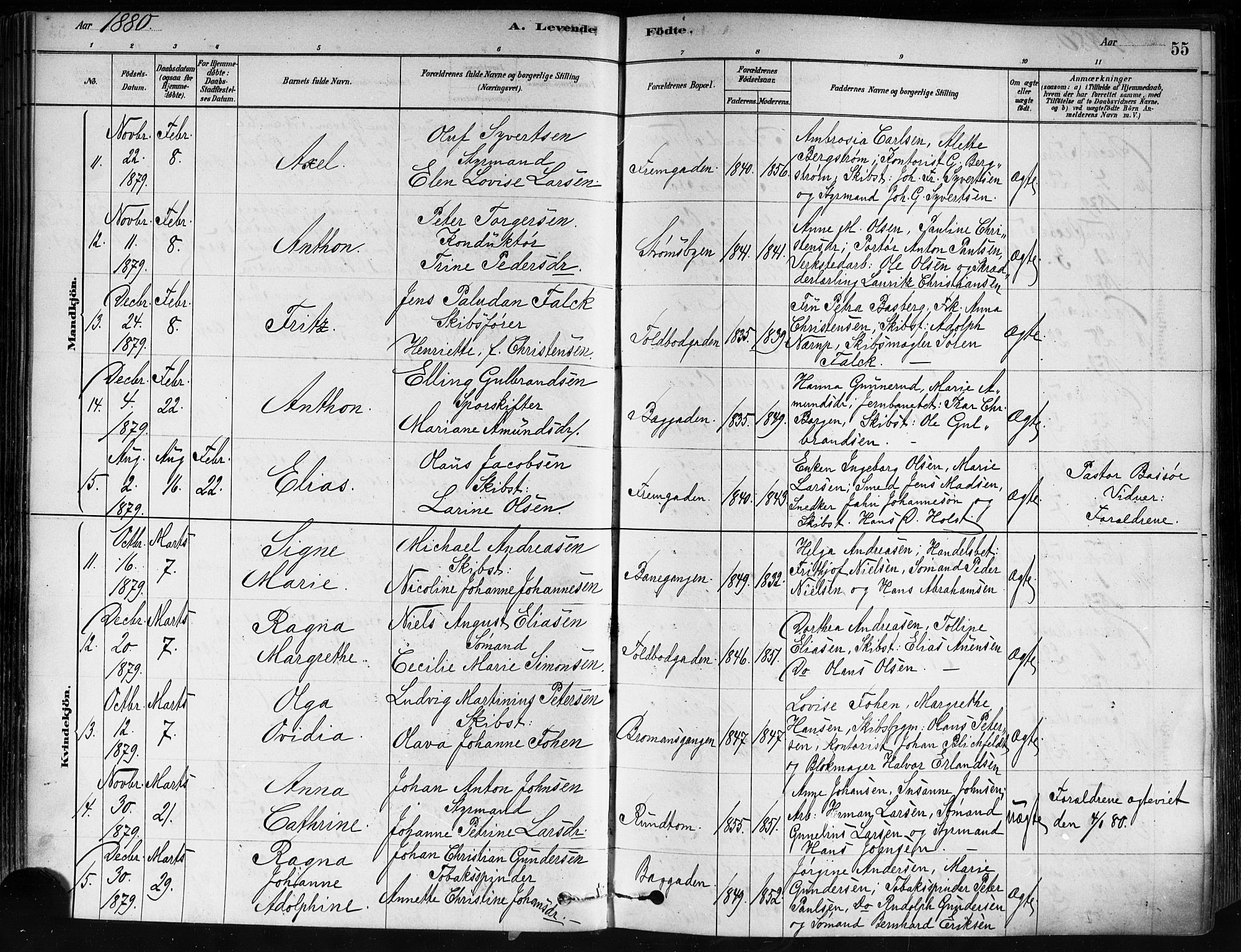 Strømsø kirkebøker, AV/SAKO-A-246/F/Fa/L0021: Ministerialbok nr. I 21, 1878-1885, s. 55