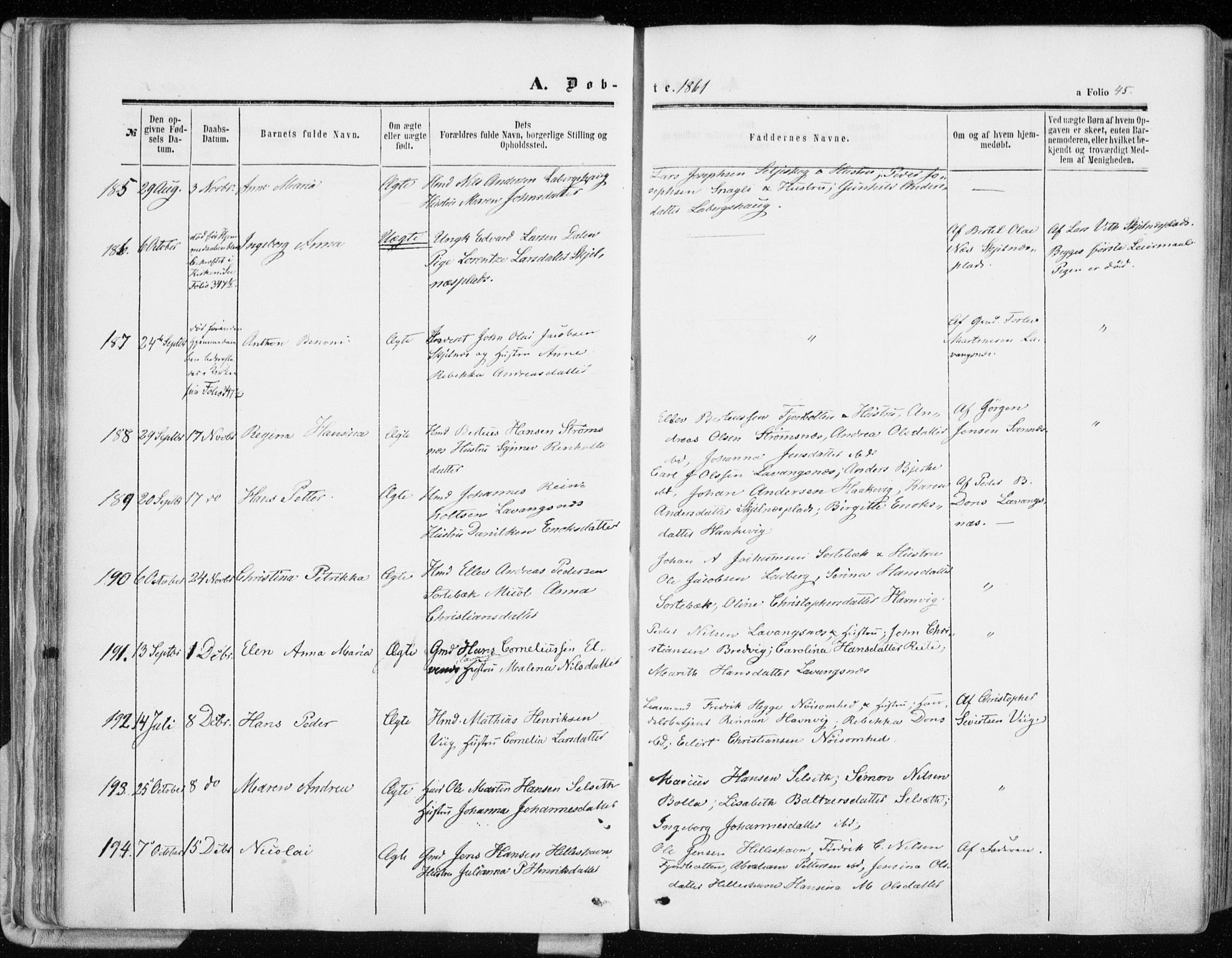 Ibestad sokneprestembete, AV/SATØ-S-0077/H/Ha/Haa/L0009kirke: Ministerialbok nr. 9, 1859-1868, s. 45