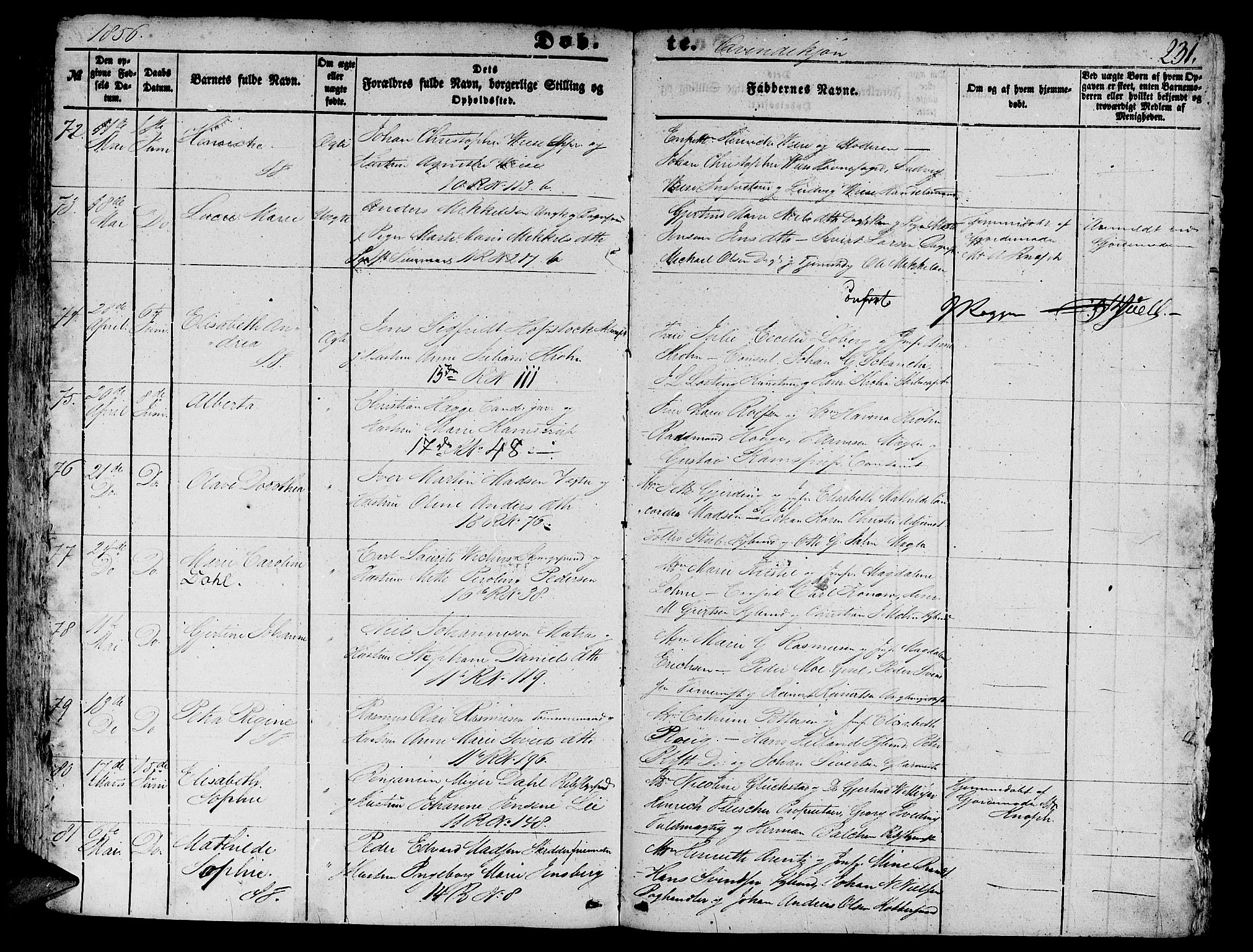 Domkirken sokneprestembete, AV/SAB-A-74801/H/Hab/L0010: Klokkerbok nr. B 3, 1849-1856, s. 231