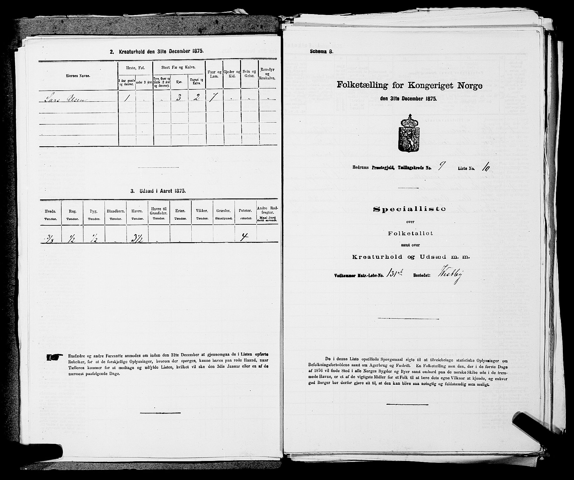 SAKO, Folketelling 1875 for 0727P Hedrum prestegjeld, 1875, s. 856