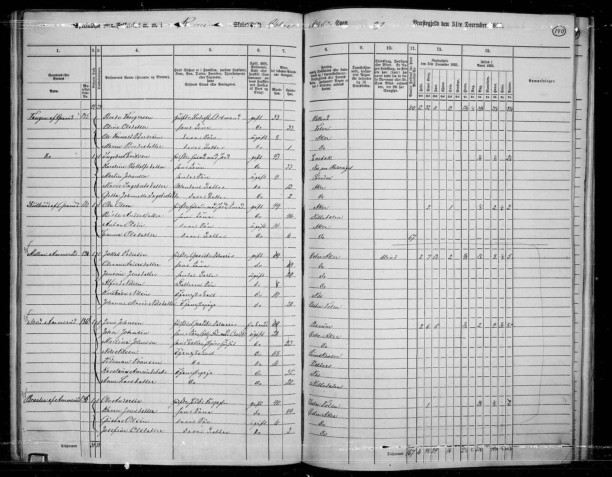 RA, Folketelling 1865 for 0218bP Østre Aker prestegjeld, 1865, s. 133