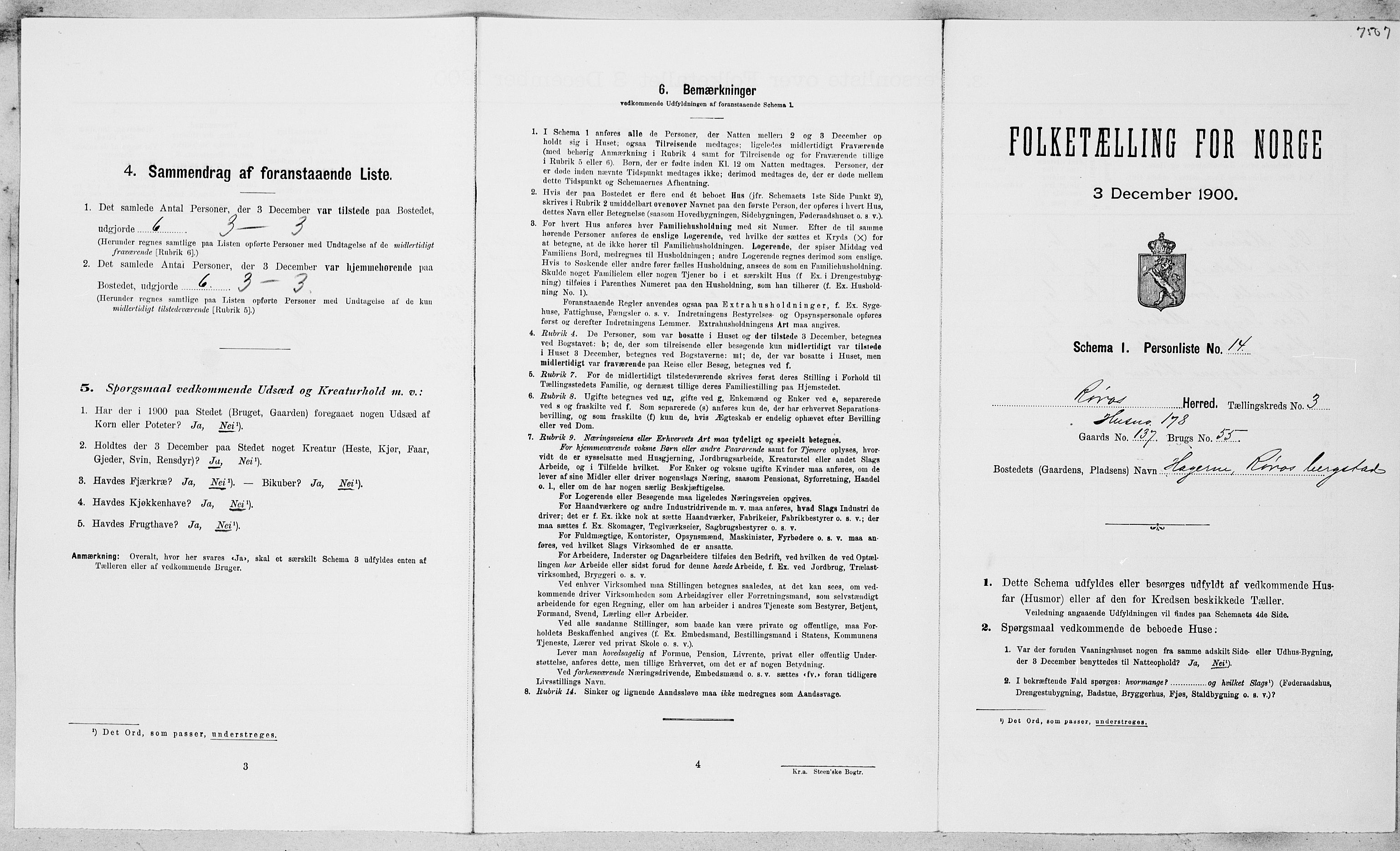 SAT, Folketelling 1900 for 1640 Røros herred, 1900, s. 294