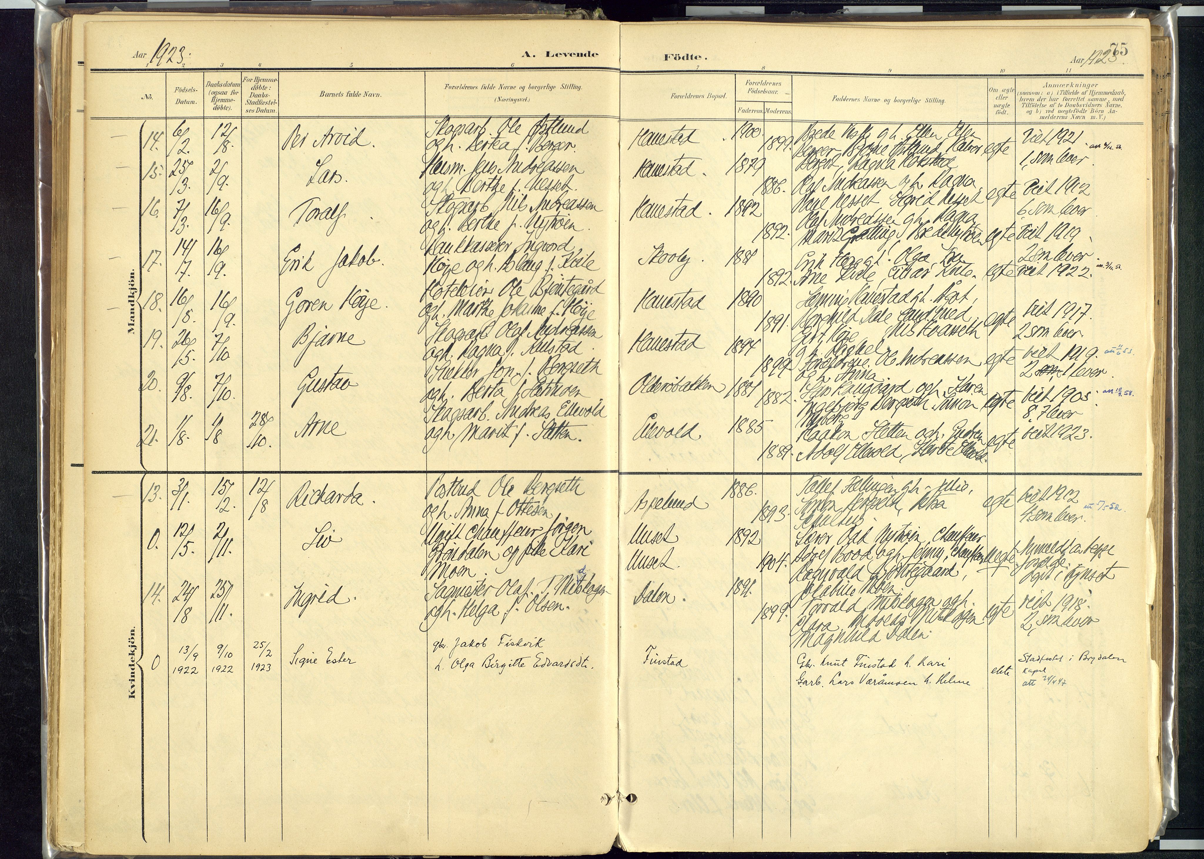 Rendalen prestekontor, AV/SAH-PREST-054/H/Ha/Haa/L0012: Ministerialbok nr. 12, 1901-1928, s. 75