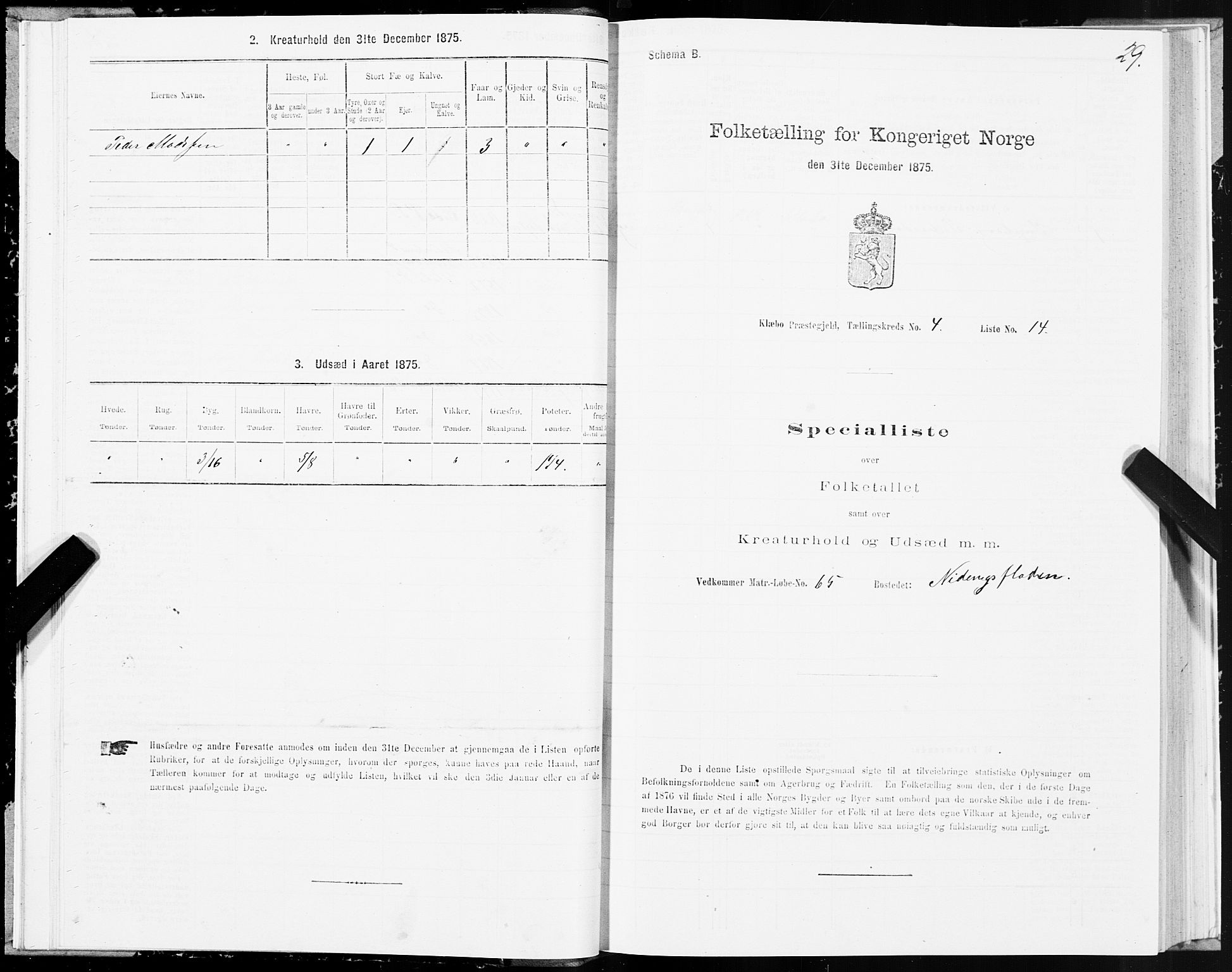 SAT, Folketelling 1875 for 1662P Klæbu prestegjeld, 1875, s. 2029