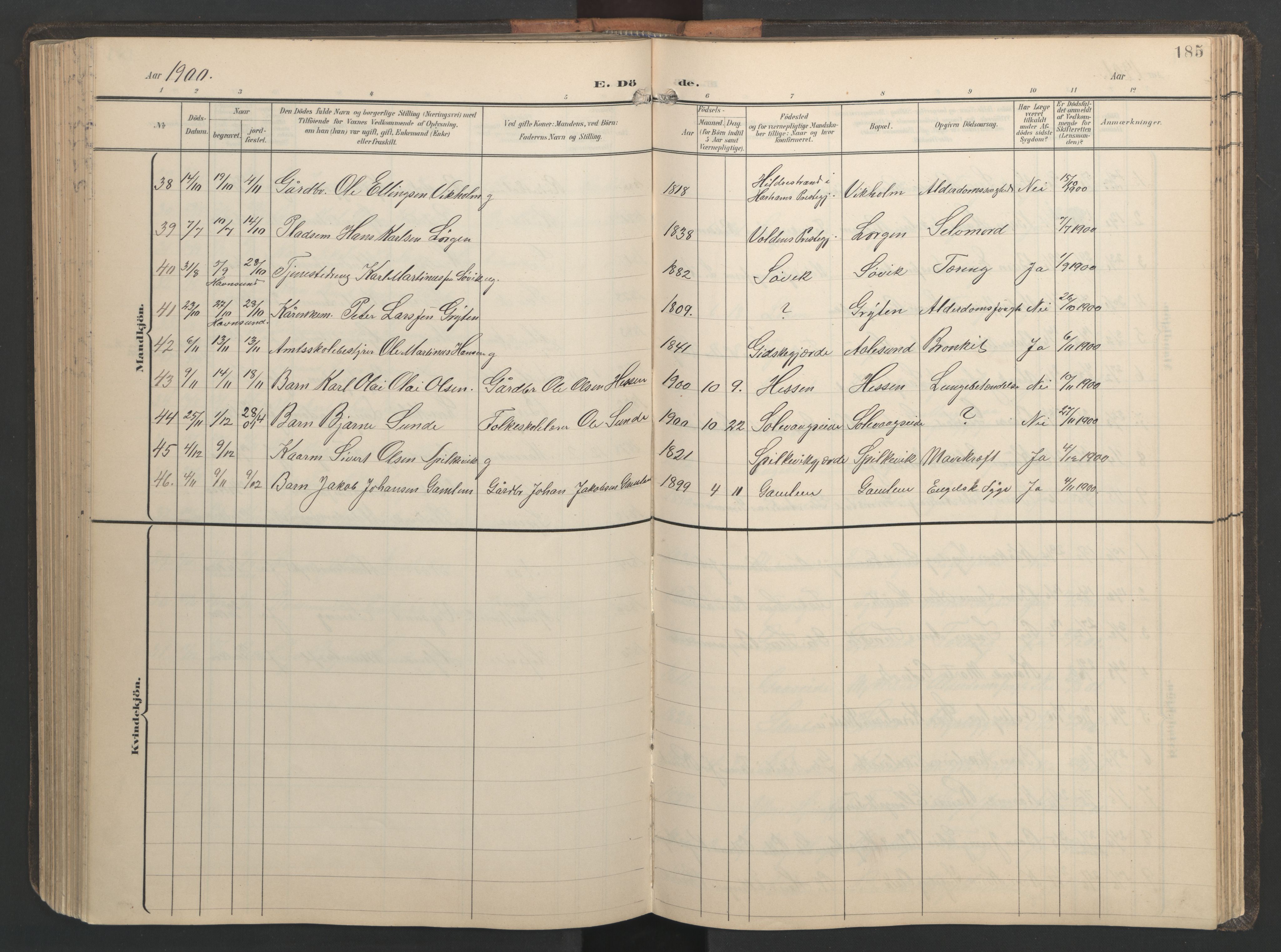 Ministerialprotokoller, klokkerbøker og fødselsregistre - Møre og Romsdal, AV/SAT-A-1454/528/L0433: Klokkerbok nr. 528C14, 1899-1922, s. 185