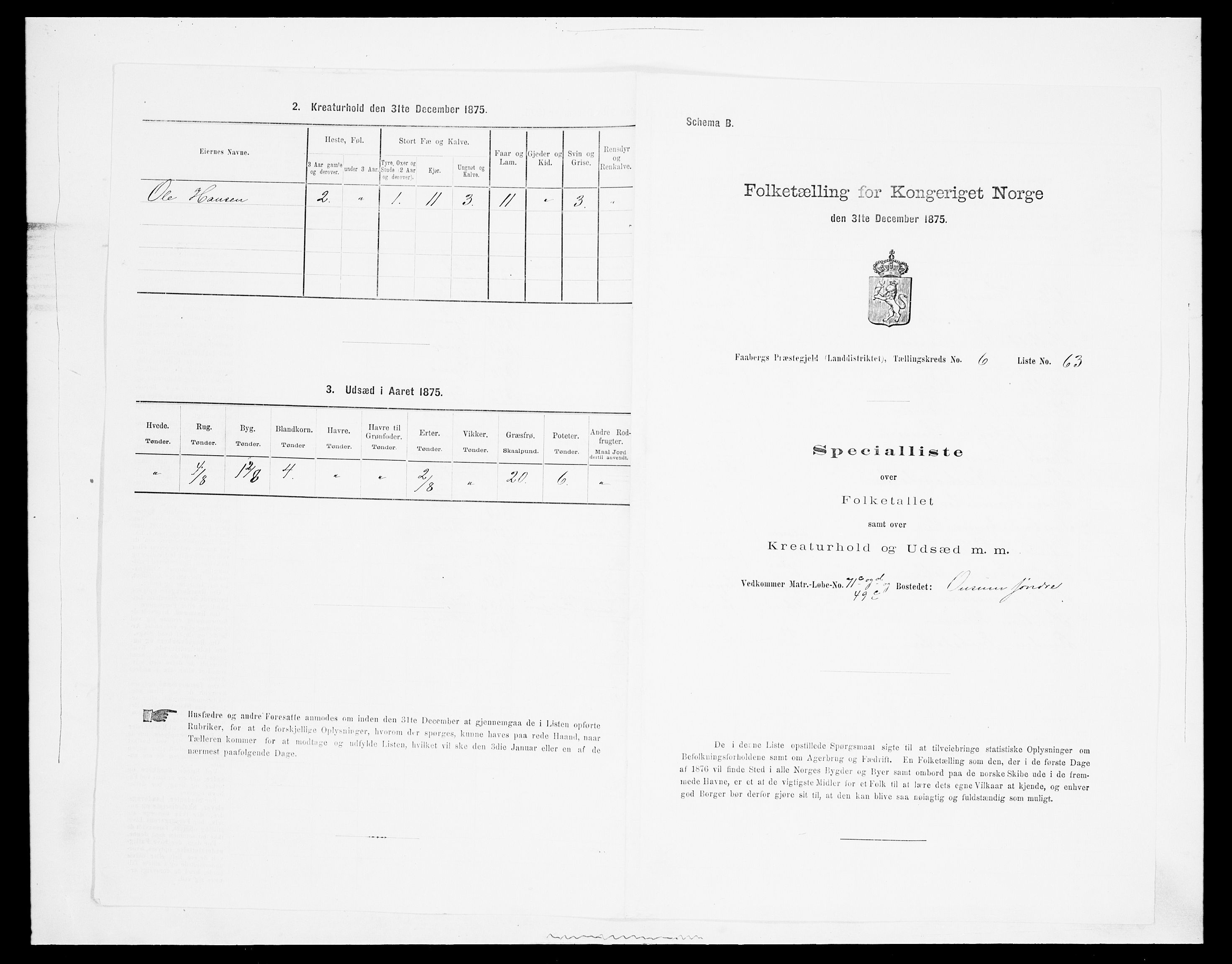 SAH, Folketelling 1875 for 0524L Fåberg prestegjeld, Fåberg sokn og Lillehammer landsokn, 1875, s. 823