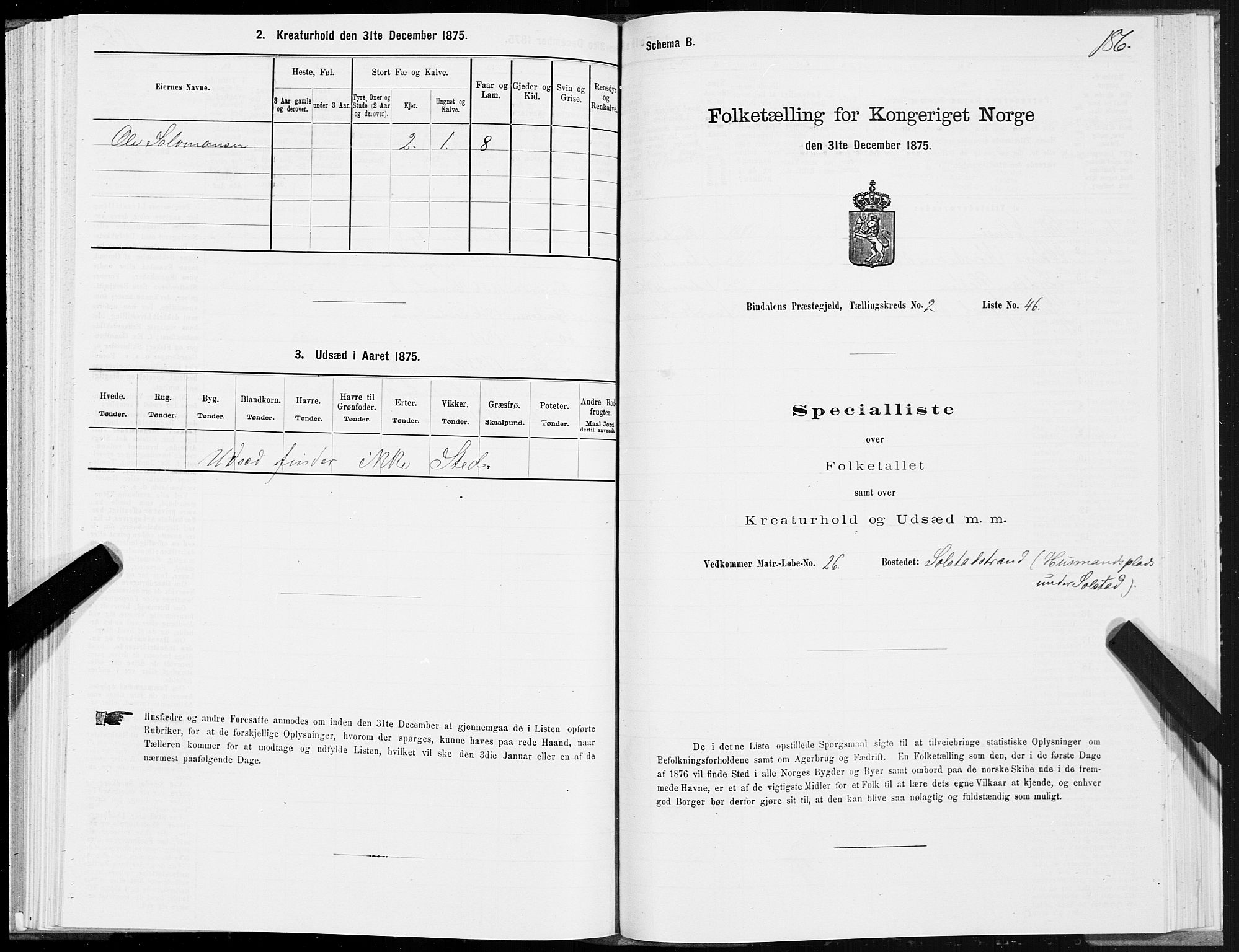 SAT, Folketelling 1875 for 1811P Bindal prestegjeld, 1875, s. 1186