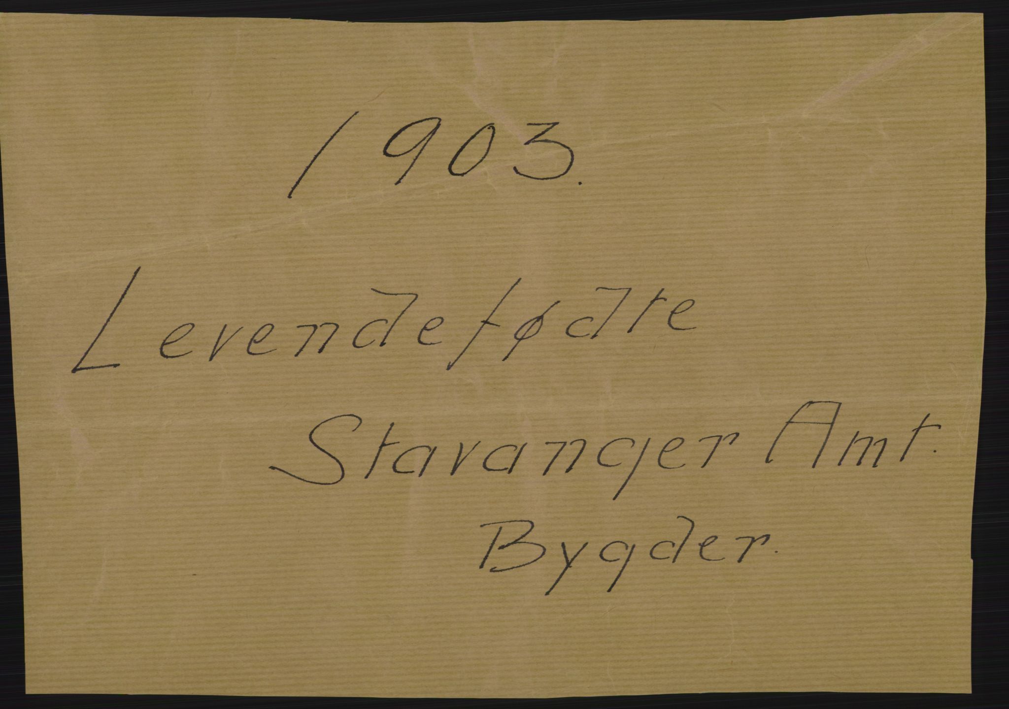 Statistisk sentralbyrå, Sosiodemografiske emner, Befolkning, AV/RA-S-2228/D/Df/Dfa/Dfaa/L0012: Stavanger amt: Fødte, gifte, døde, 1903, s. 1