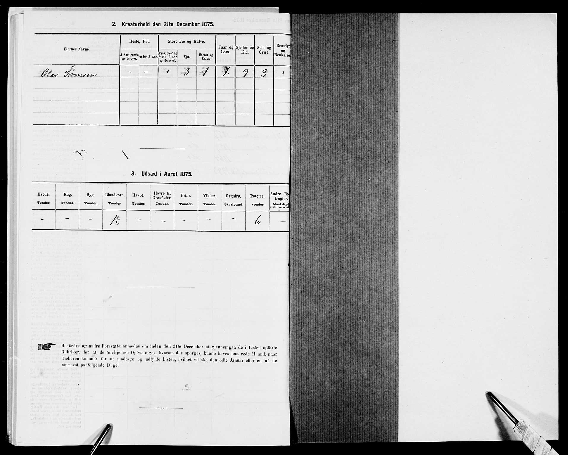 SAK, Folketelling 1875 for 0980P Åseral prestegjeld, 1875, s. 133