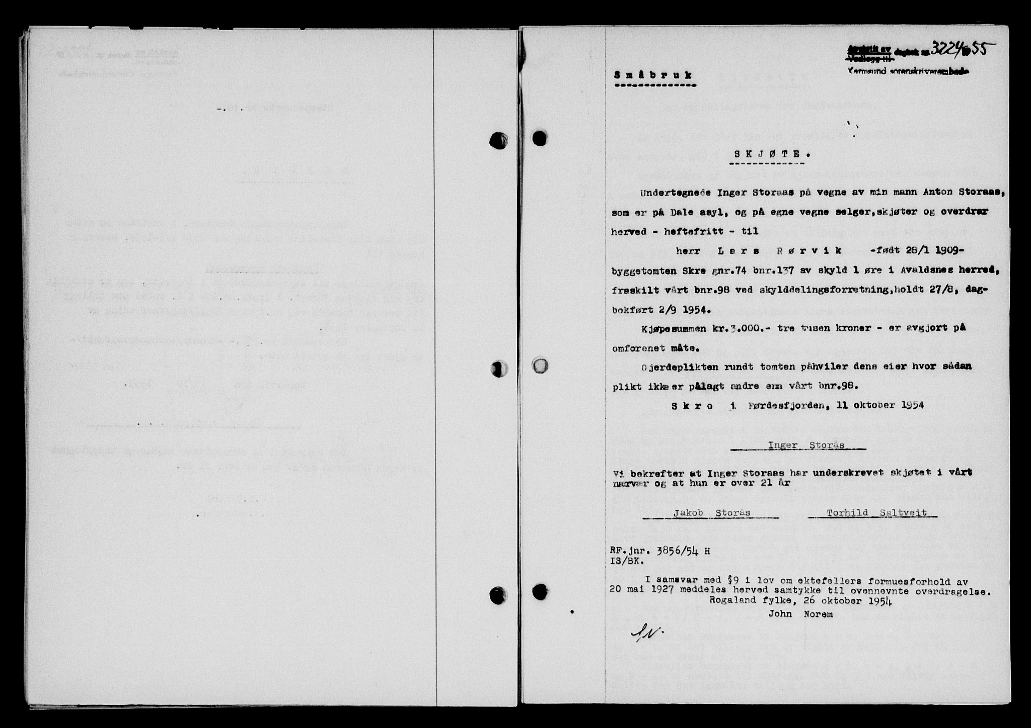Karmsund sorenskriveri, SAST/A-100311/01/II/IIB/L0117: Pantebok nr. 97Aa, 1955-1955, Dagboknr: 3224/1955