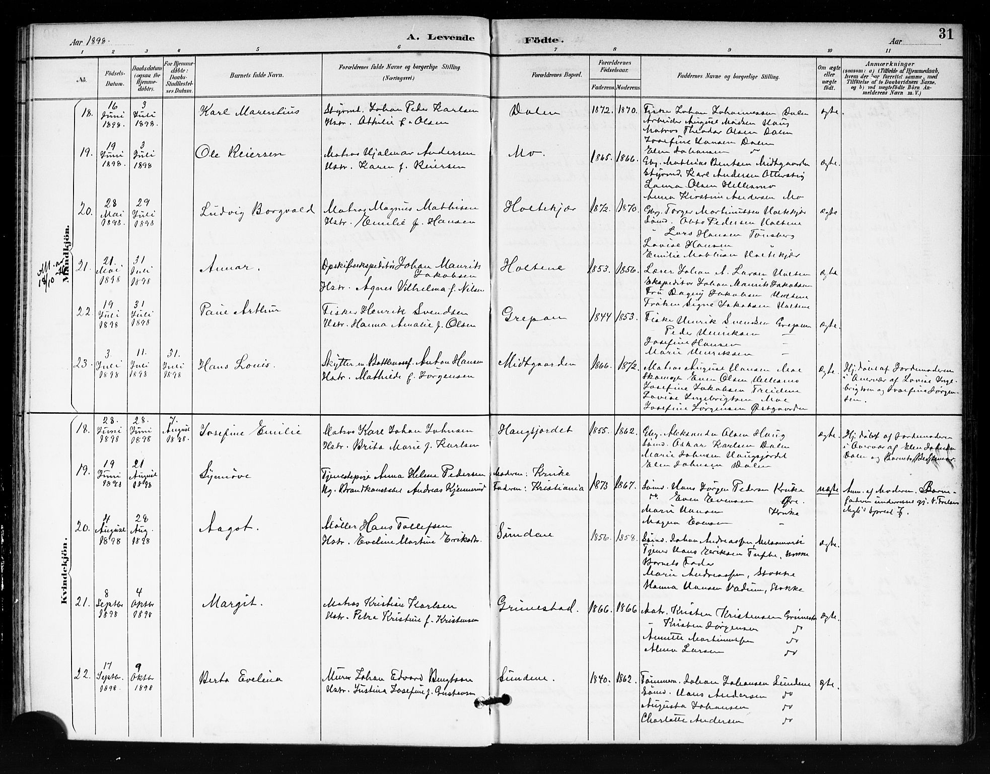 Tjøme kirkebøker, AV/SAKO-A-328/F/Fa/L0003: Ministerialbok nr. I 3, 1891-1900, s. 31