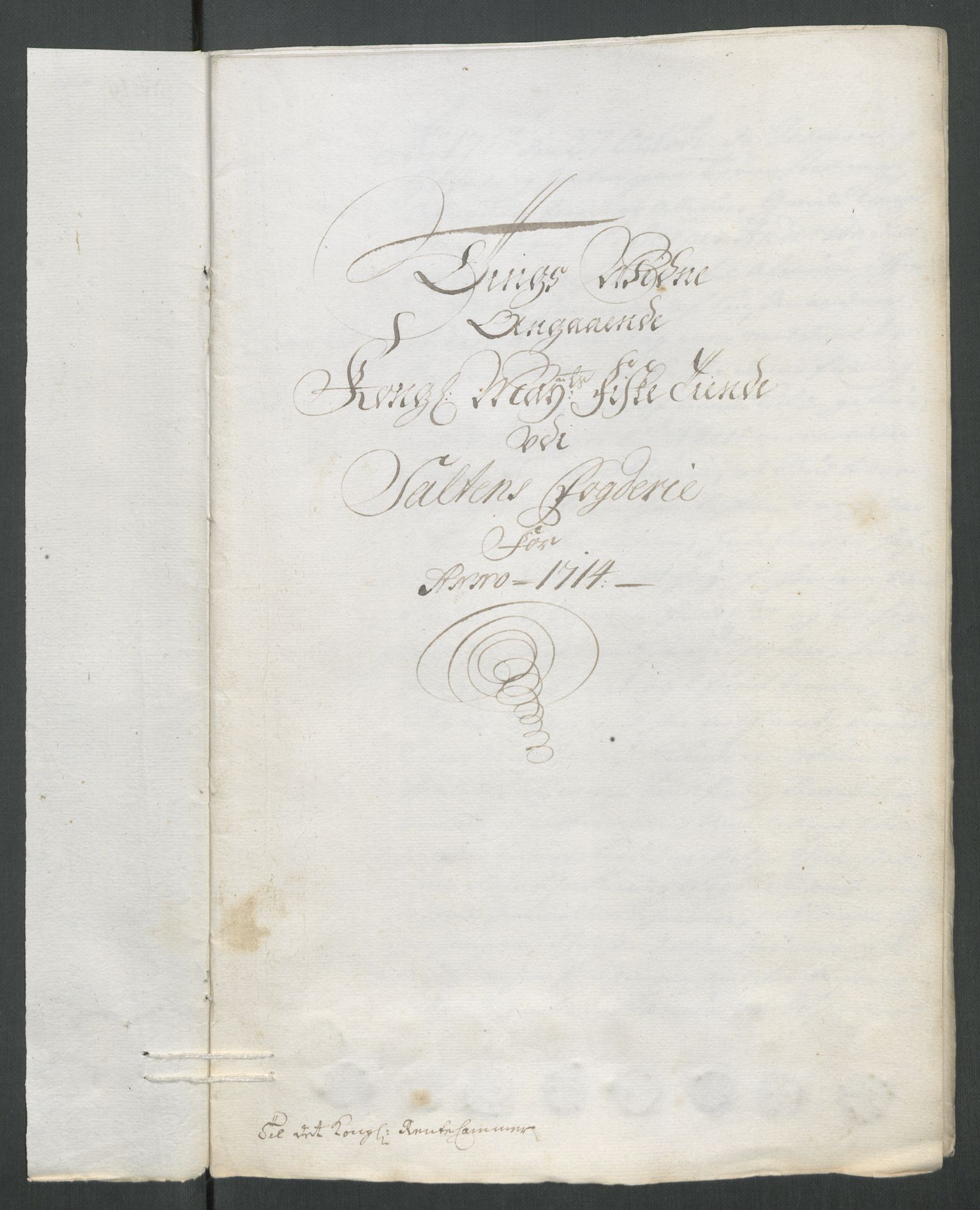 Rentekammeret inntil 1814, Reviderte regnskaper, Fogderegnskap, RA/EA-4092/R66/L4584: Fogderegnskap Salten, 1714, s. 261