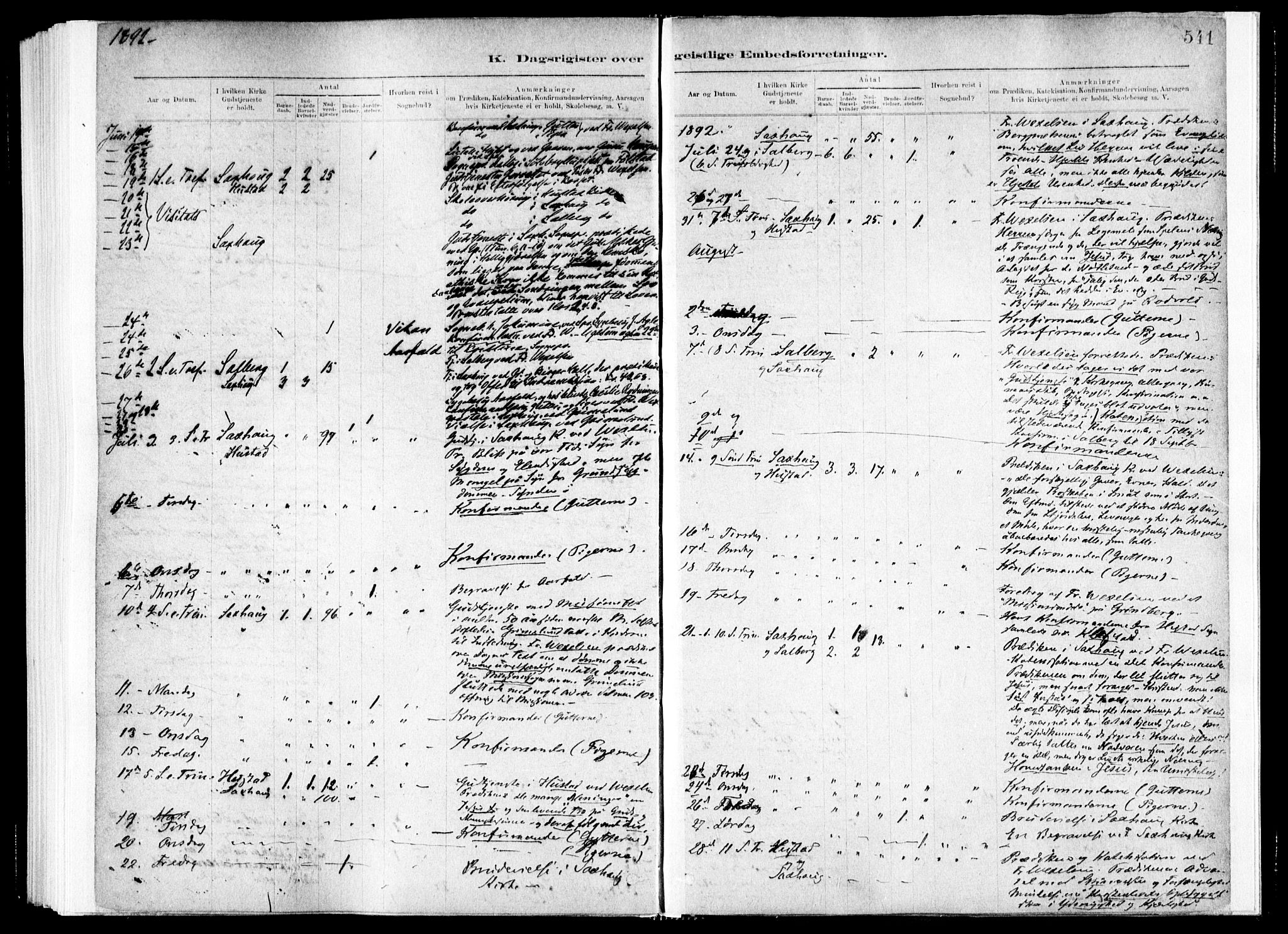 Ministerialprotokoller, klokkerbøker og fødselsregistre - Nord-Trøndelag, SAT/A-1458/730/L0285: Ministerialbok nr. 730A10, 1879-1914, s. 541