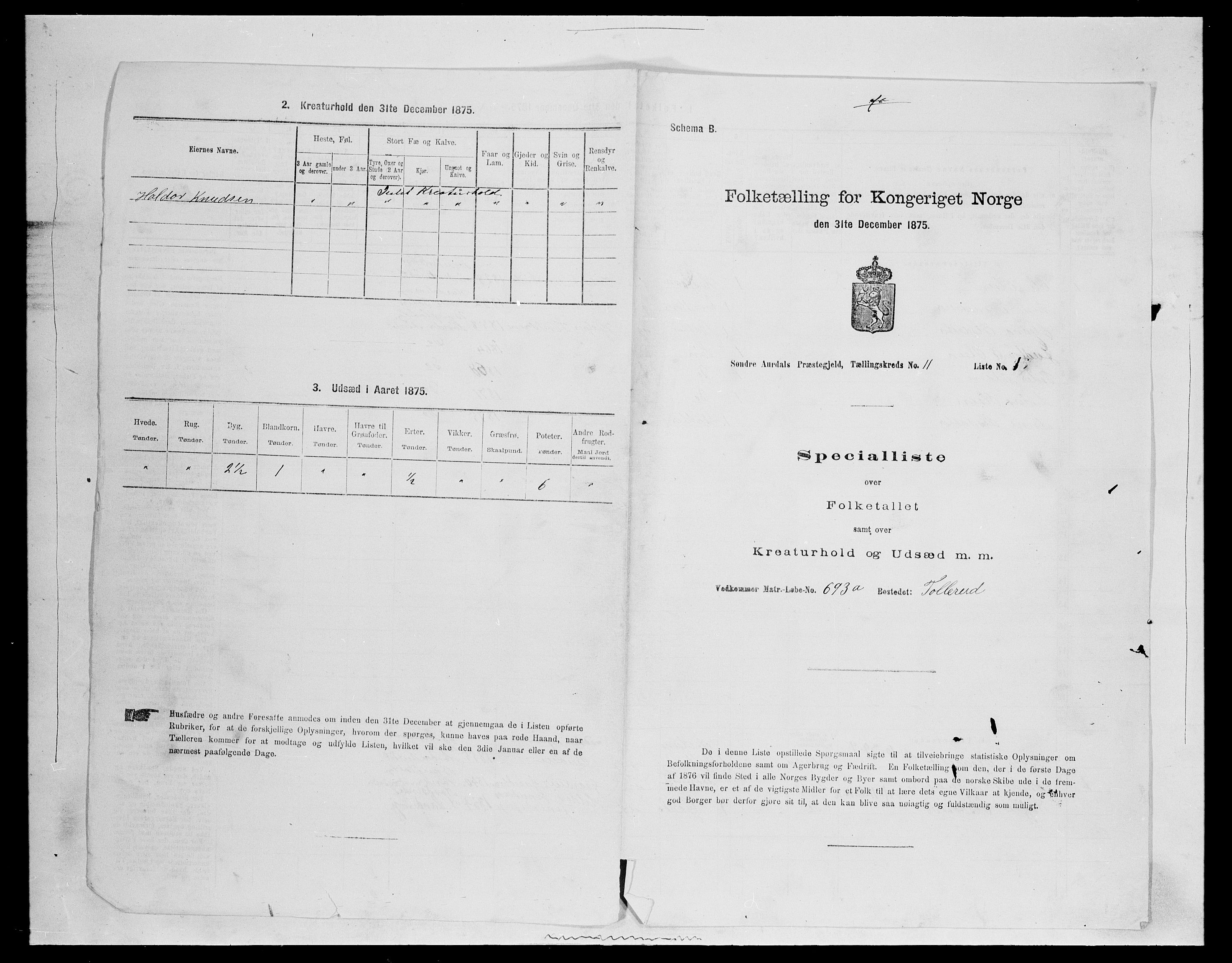 SAH, Folketelling 1875 for 0540P Sør-Aurdal prestegjeld, 1875, s. 1847