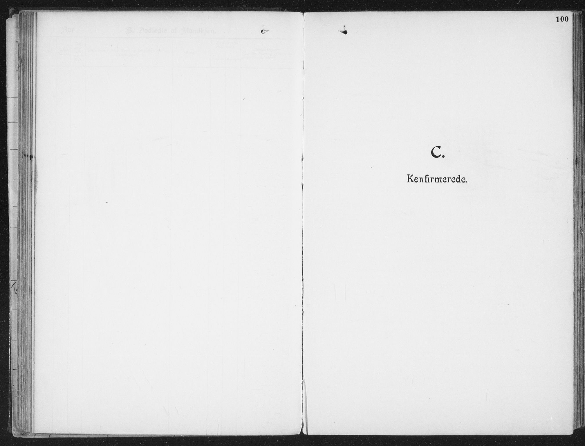 Ministerialprotokoller, klokkerbøker og fødselsregistre - Nordland, AV/SAT-A-1459/804/L0081: Ministerialbok nr. 804A02, 1901-1915, s. 100