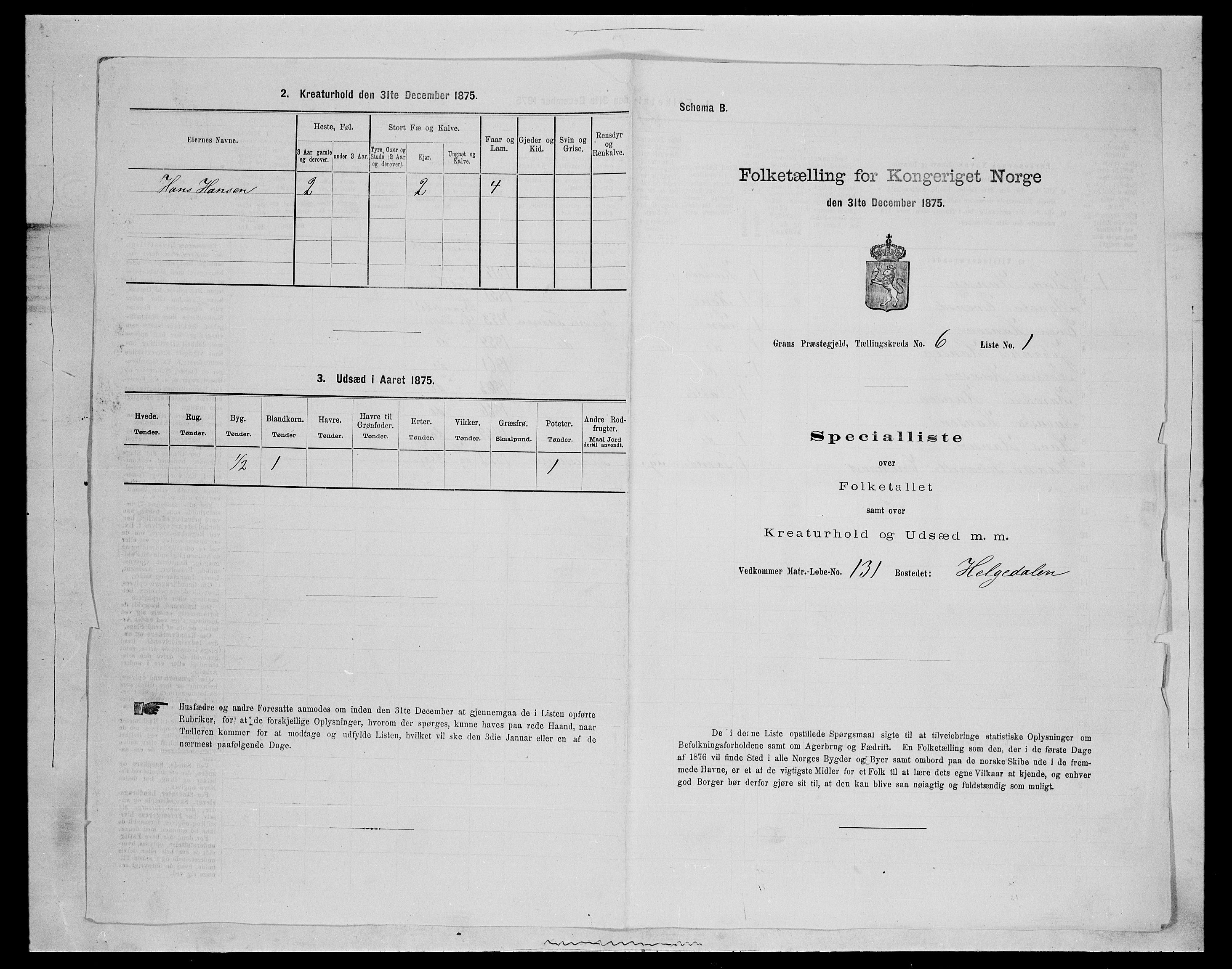 SAH, Folketelling 1875 for 0534P Gran prestegjeld, 1875, s. 1021