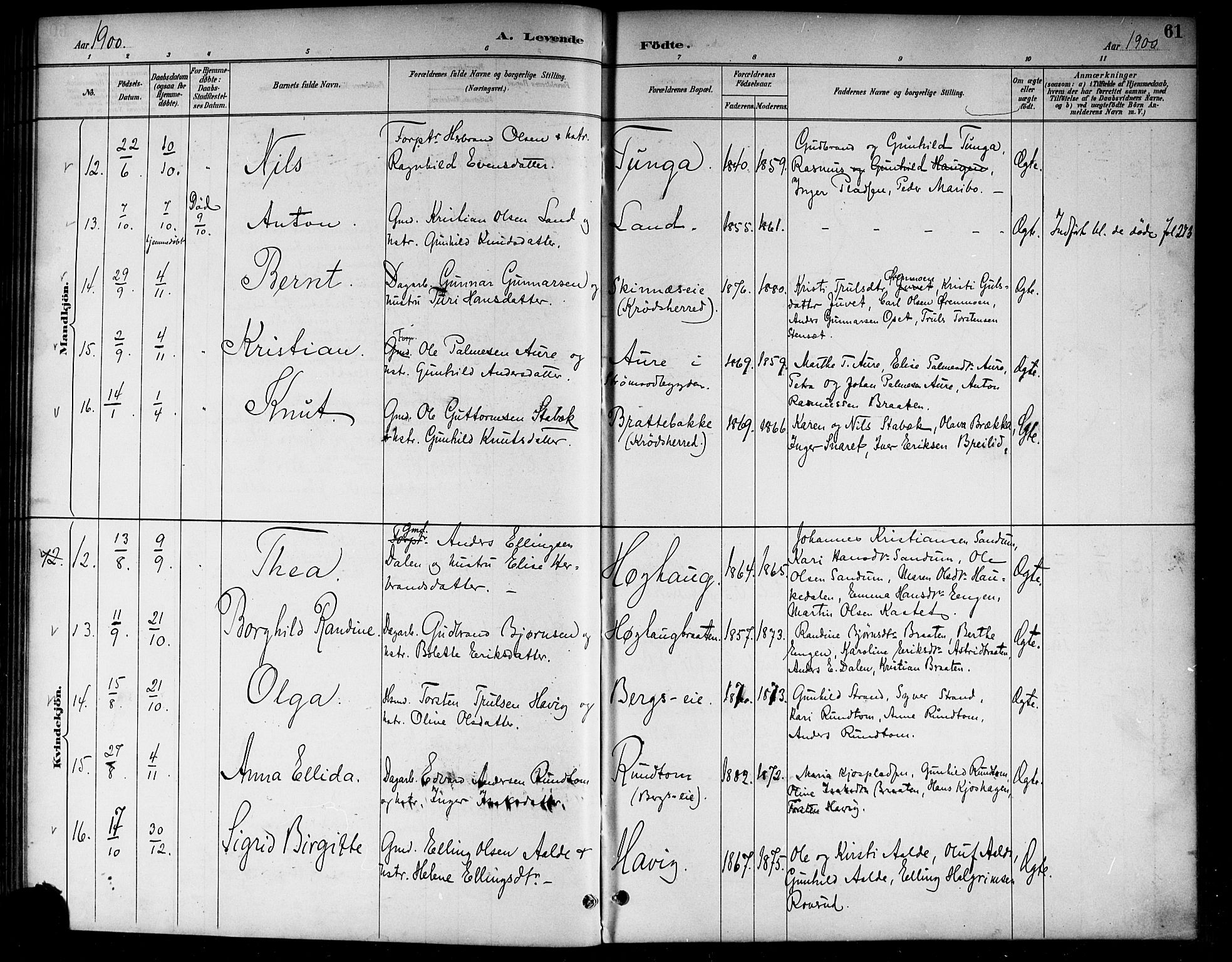 Lunder kirkebøker, AV/SAKO-A-629/G/Ga/L0004: Klokkerbok nr. I 4, 1889-1917, s. 61