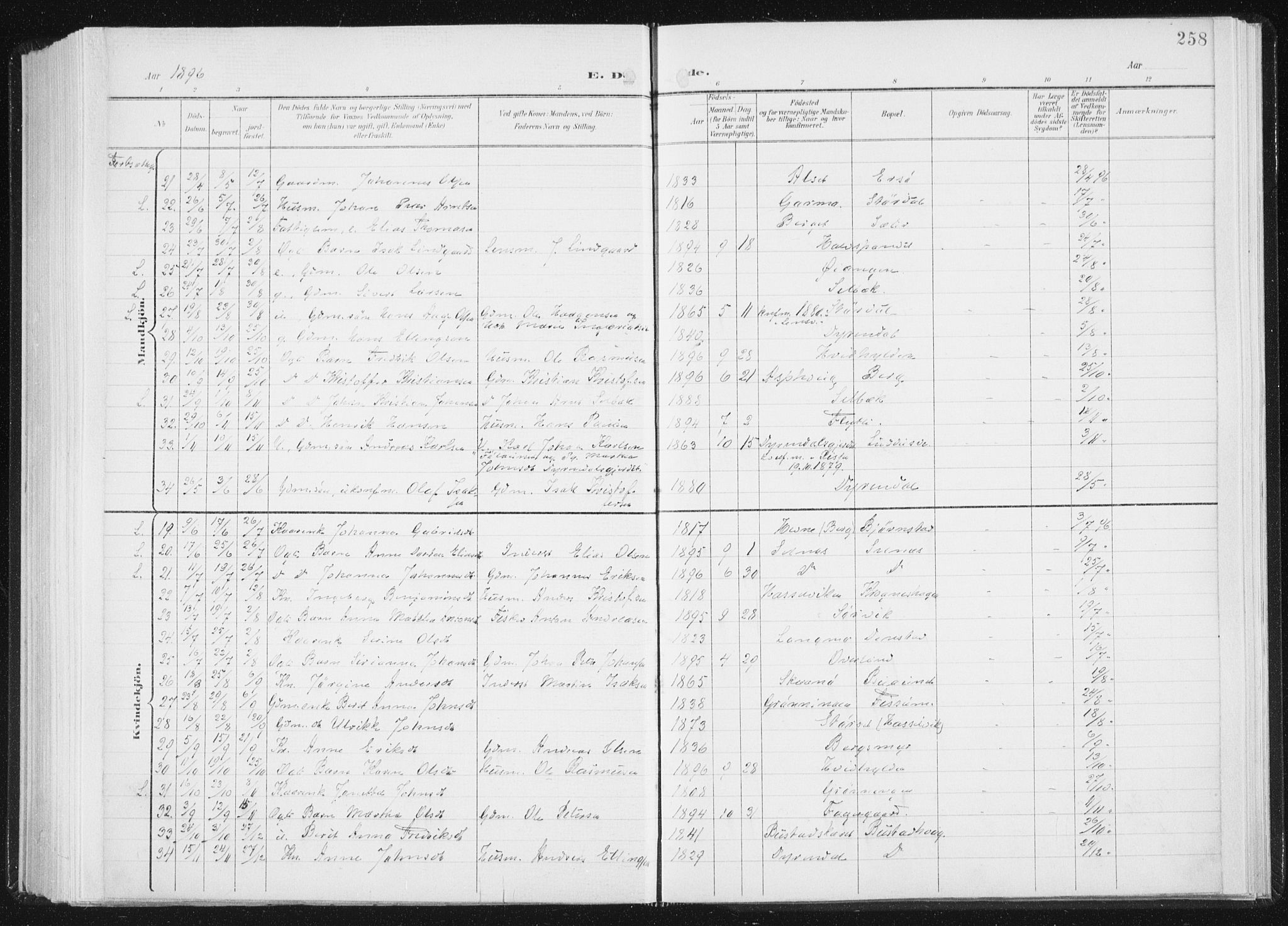 Ministerialprotokoller, klokkerbøker og fødselsregistre - Sør-Trøndelag, AV/SAT-A-1456/647/L0635: Ministerialbok nr. 647A02, 1896-1911, s. 258