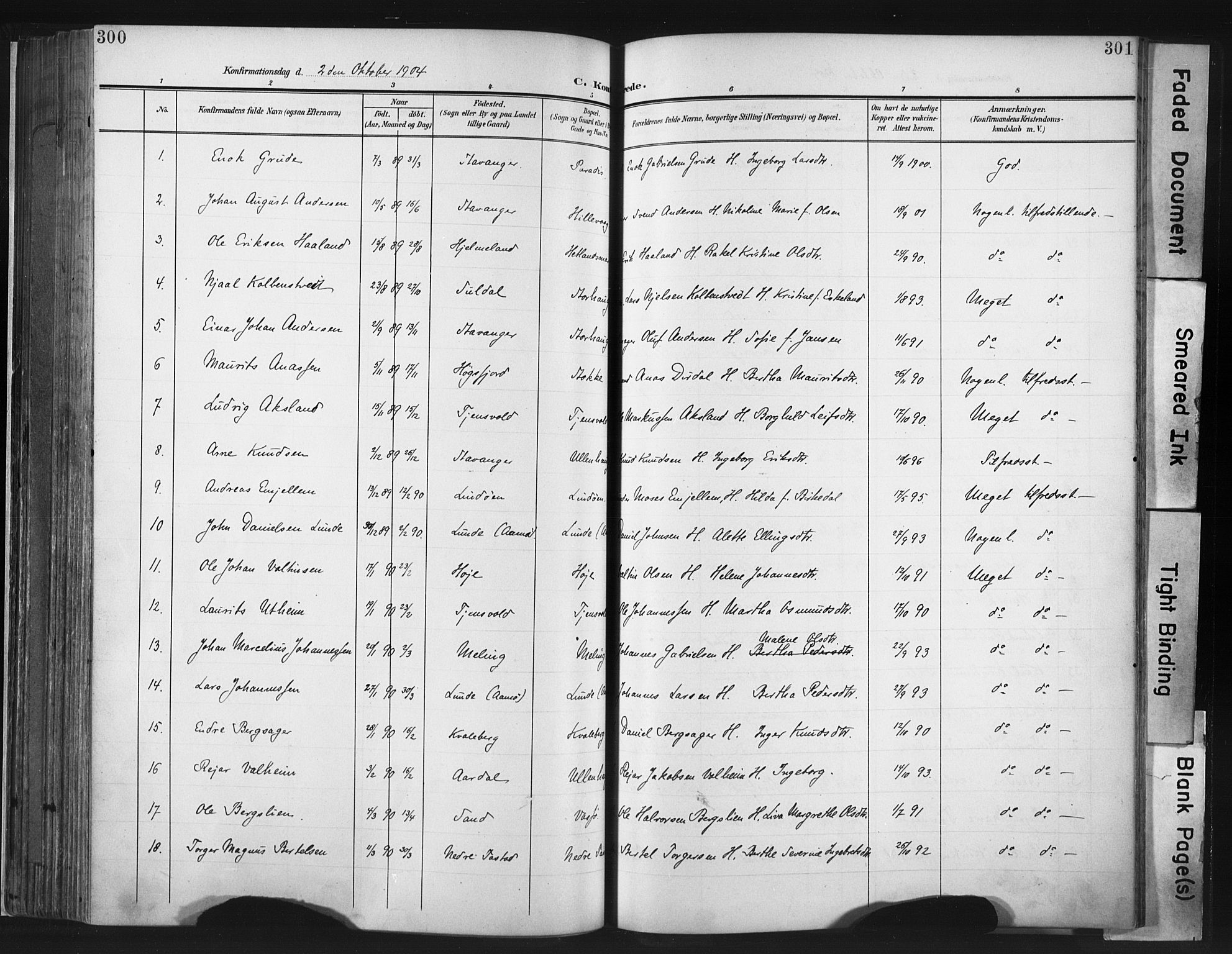 Hetland sokneprestkontor, AV/SAST-A-101826/30/30BA/L0013: Ministerialbok nr. A 13, 1904-1918, s. 300-301