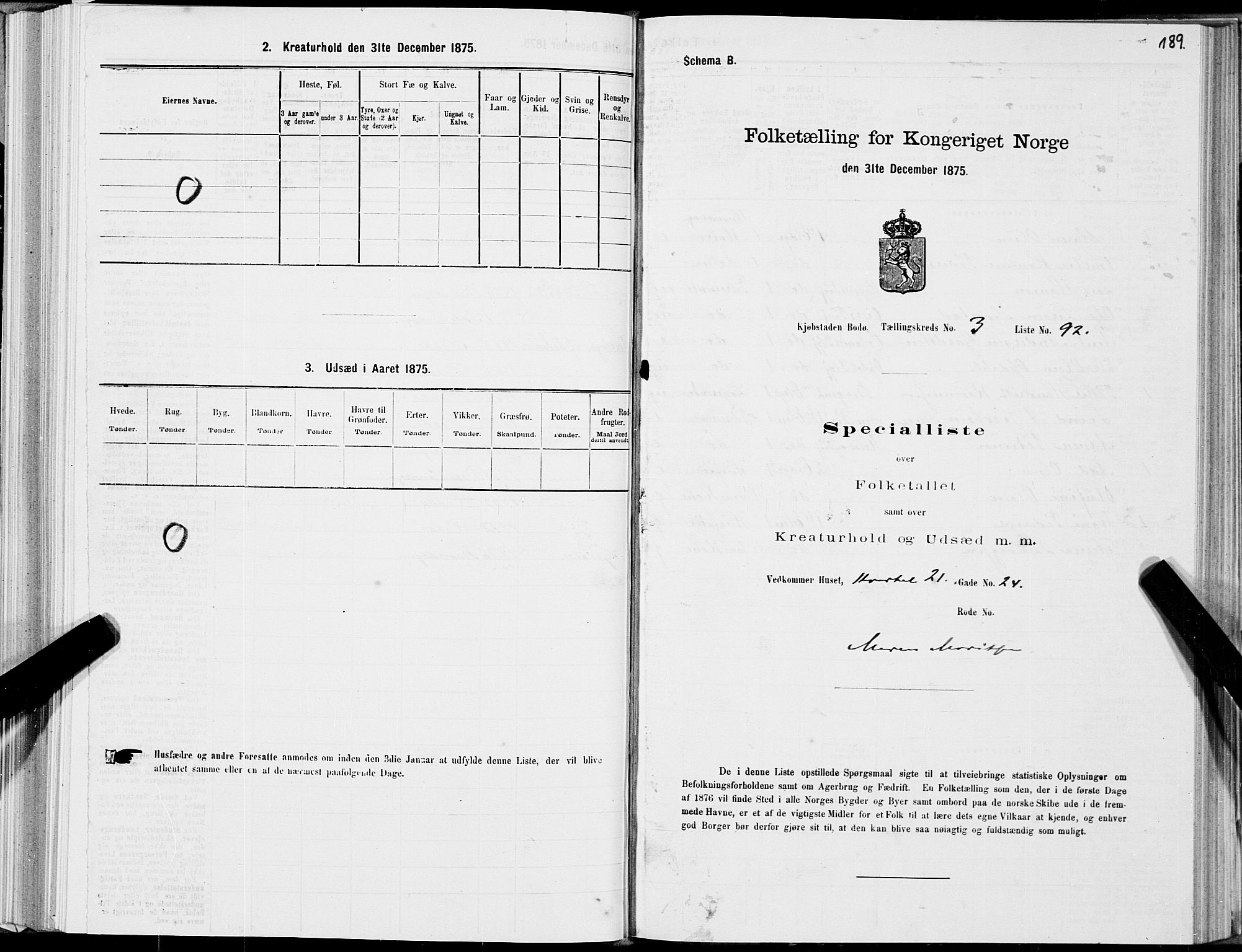 SAT, Folketelling 1875 for 1804B Bodø prestegjeld, Bodø kjøpstad, 1875, s. 189