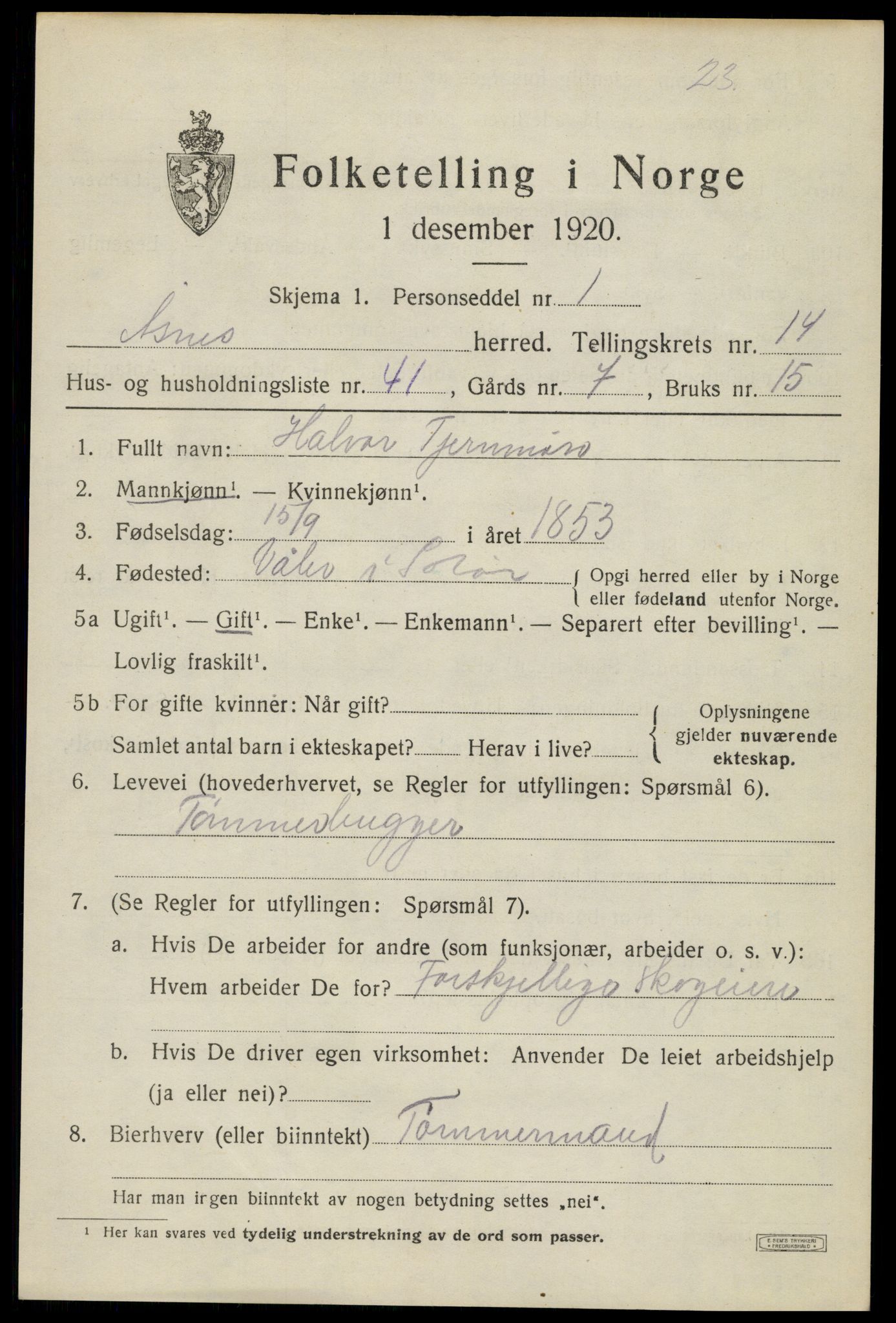 SAH, Folketelling 1920 for 0425 Åsnes herred, 1920, s. 13924