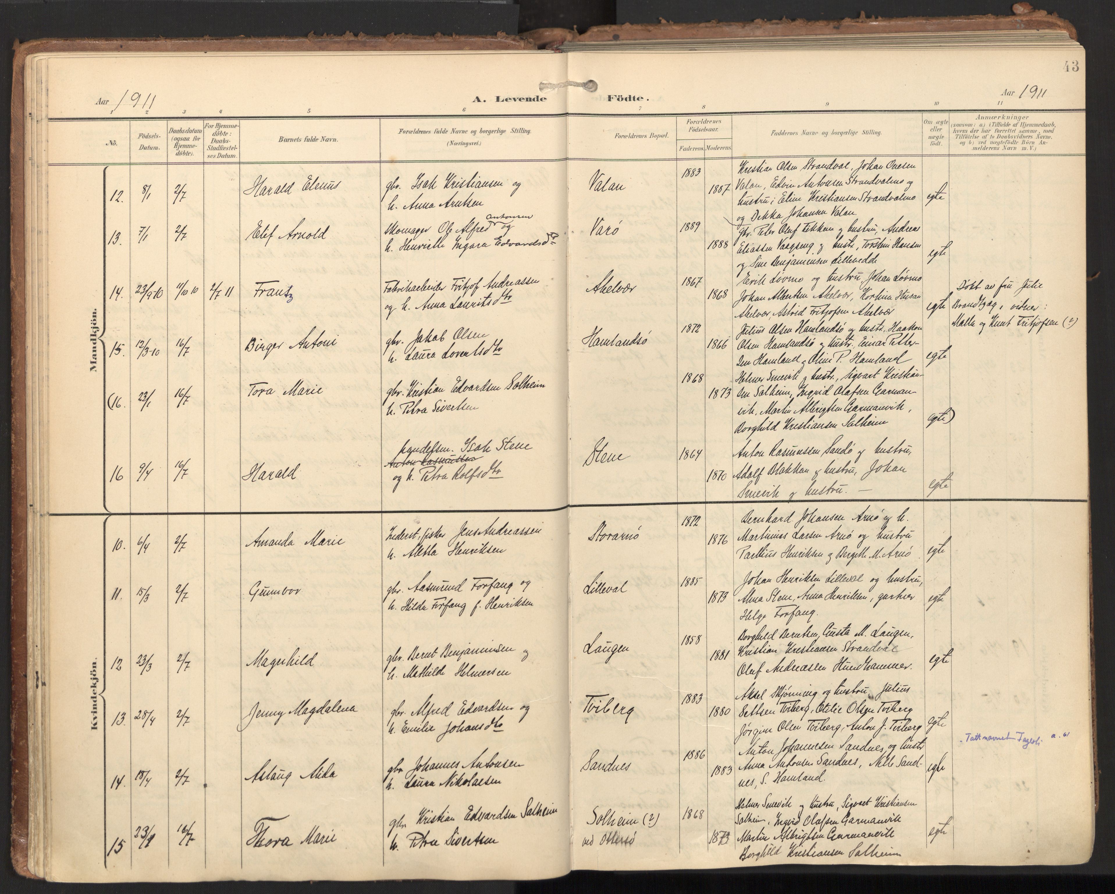 Ministerialprotokoller, klokkerbøker og fødselsregistre - Nord-Trøndelag, AV/SAT-A-1458/784/L0677: Ministerialbok nr. 784A12, 1900-1920, s. 43