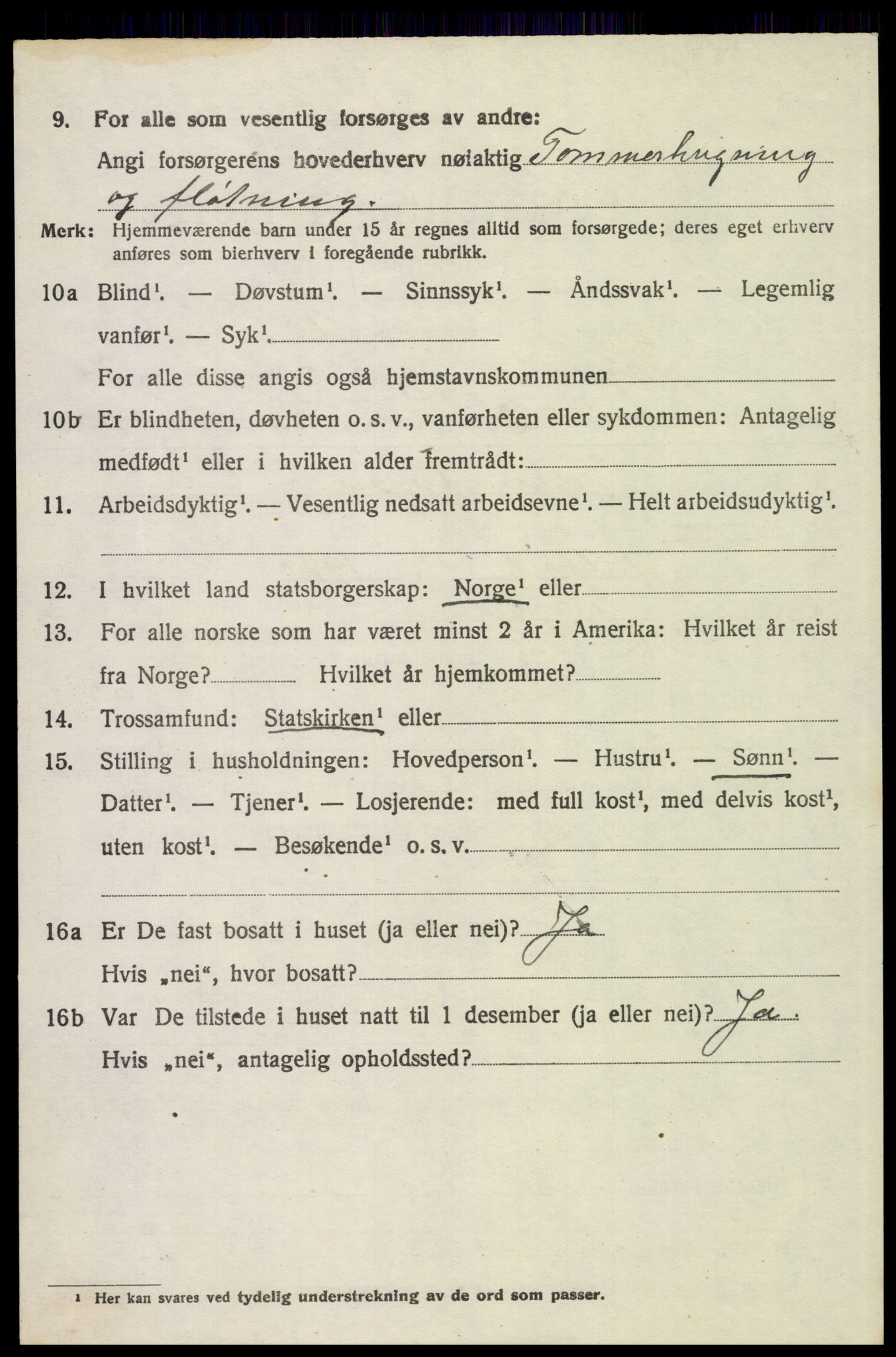 SAH, Folketelling 1920 for 0428 Trysil herred, 1920, s. 15522