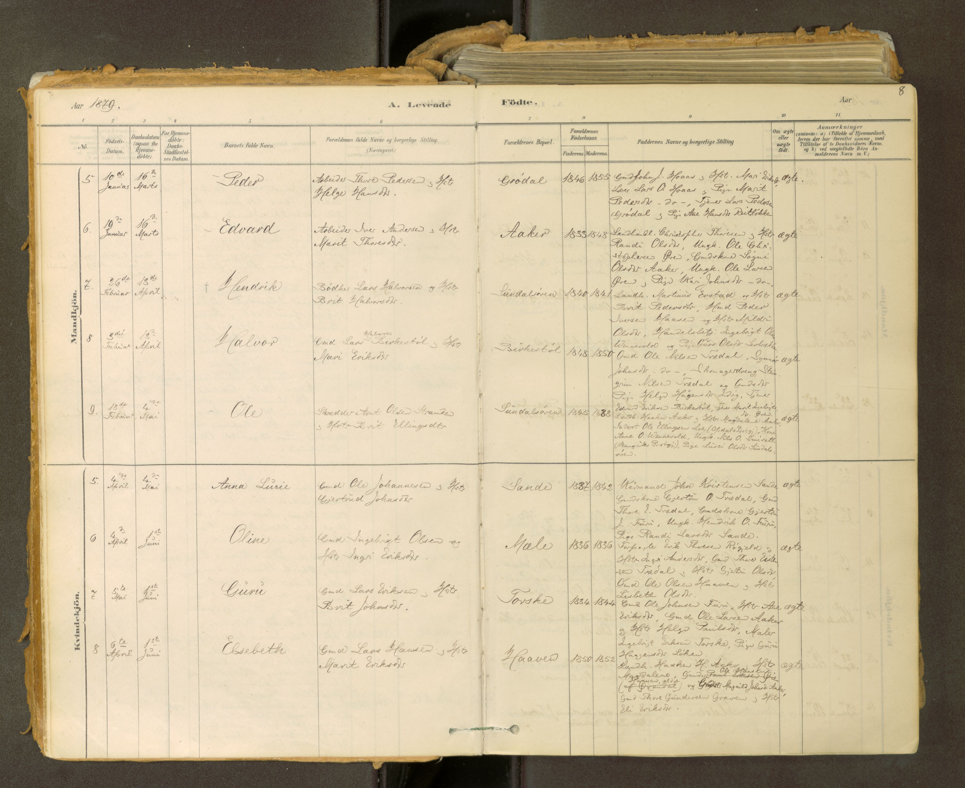 Sunndal sokneprestkontor, AV/SAT-A-1085/1/I/I1/I1a: Ministerialbok nr. 2, 1877-1914, s. 8