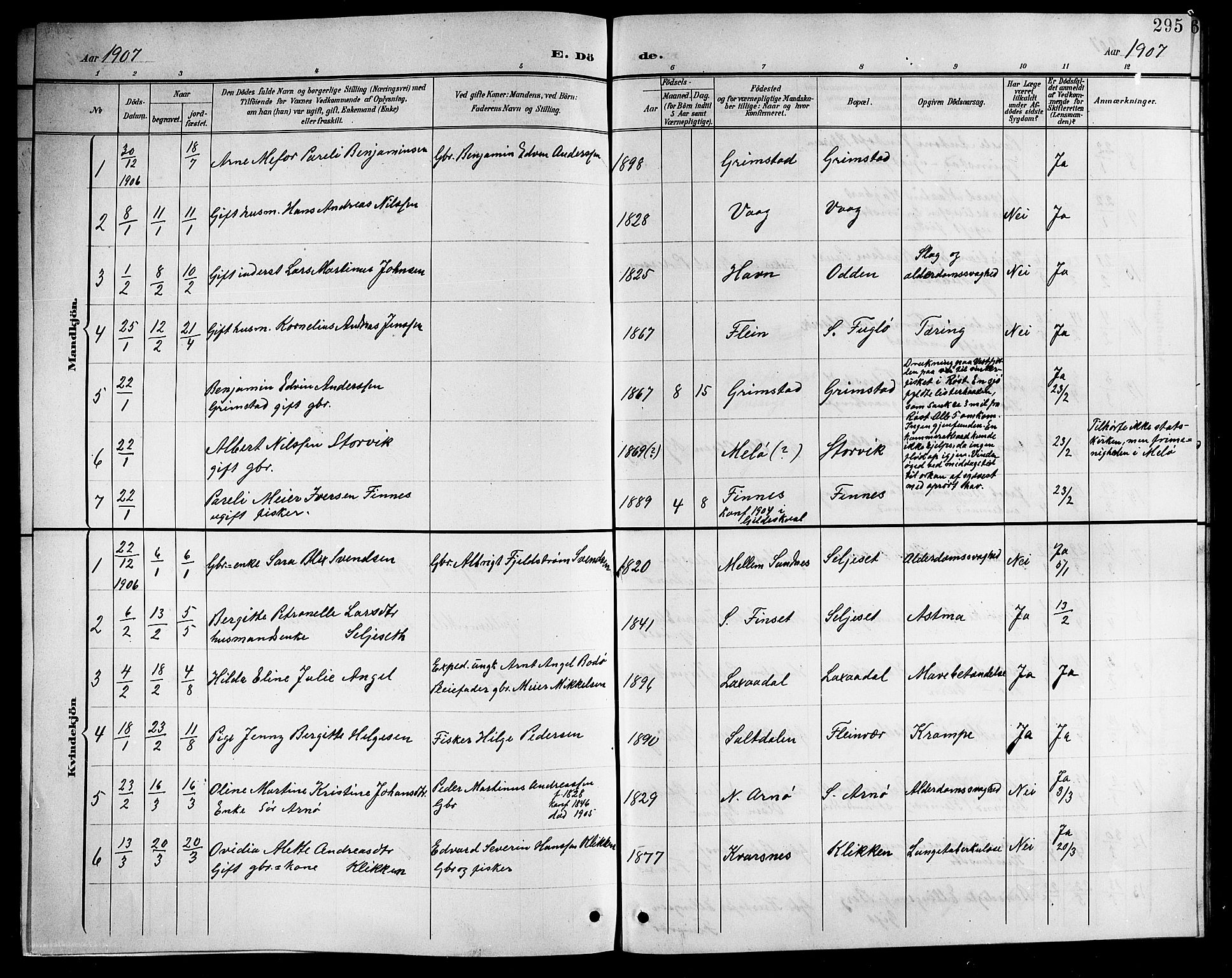 Ministerialprotokoller, klokkerbøker og fødselsregistre - Nordland, SAT/A-1459/805/L0109: Klokkerbok nr. 805C05, 1900-1911, s. 295