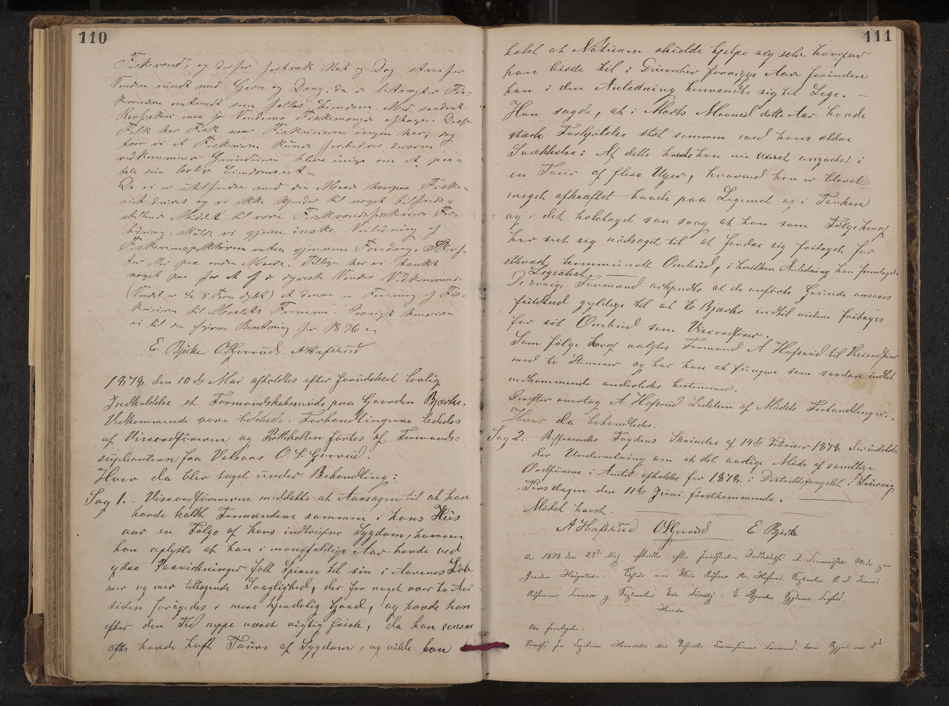 Hof formannskap og sentraladministrasjon, IKAK/0714021-1/A/Aa/L0003: Møtebok med register, 1874-1888, s. 110-111