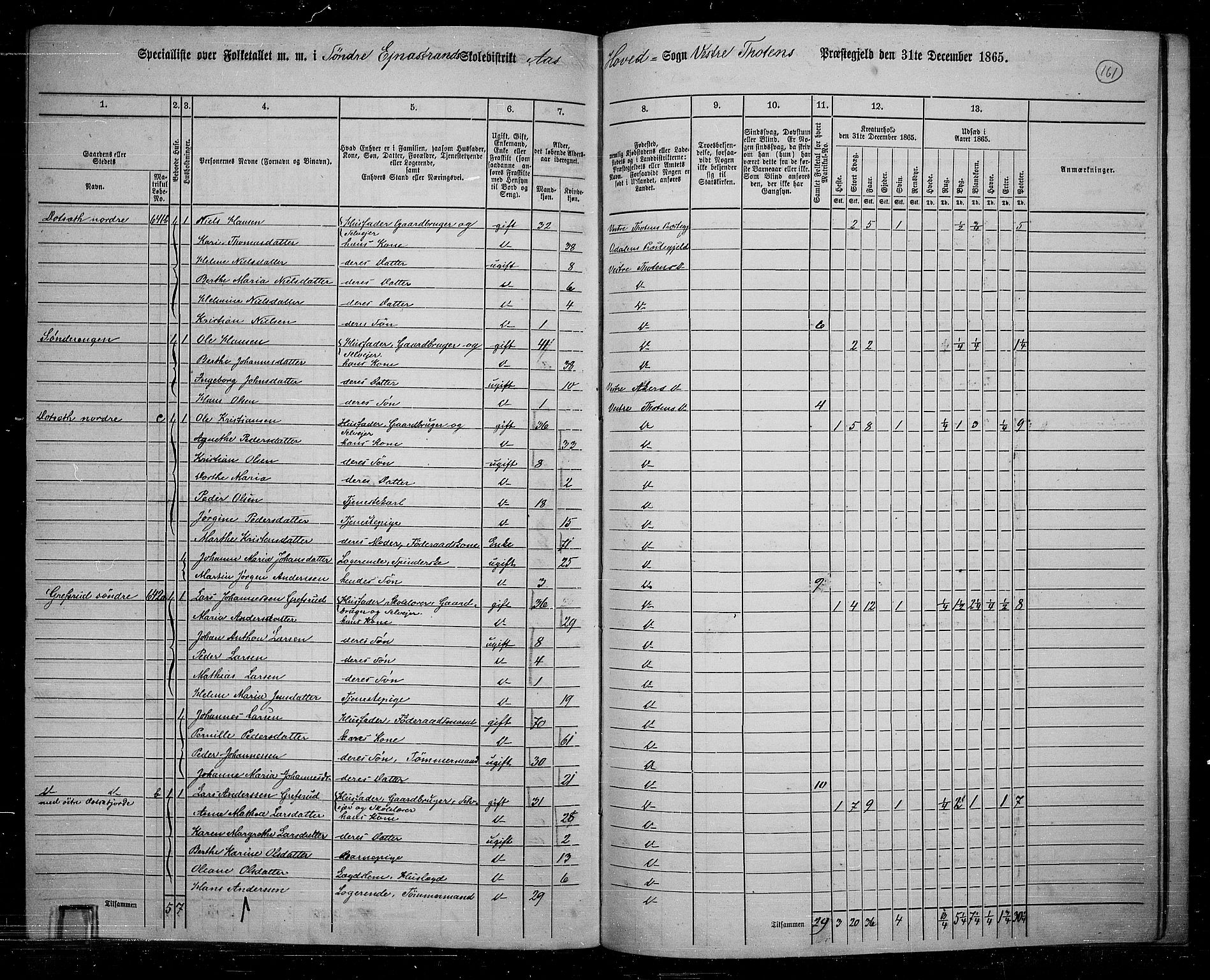 RA, Folketelling 1865 for 0529P Vestre Toten prestegjeld, 1865, s. 144
