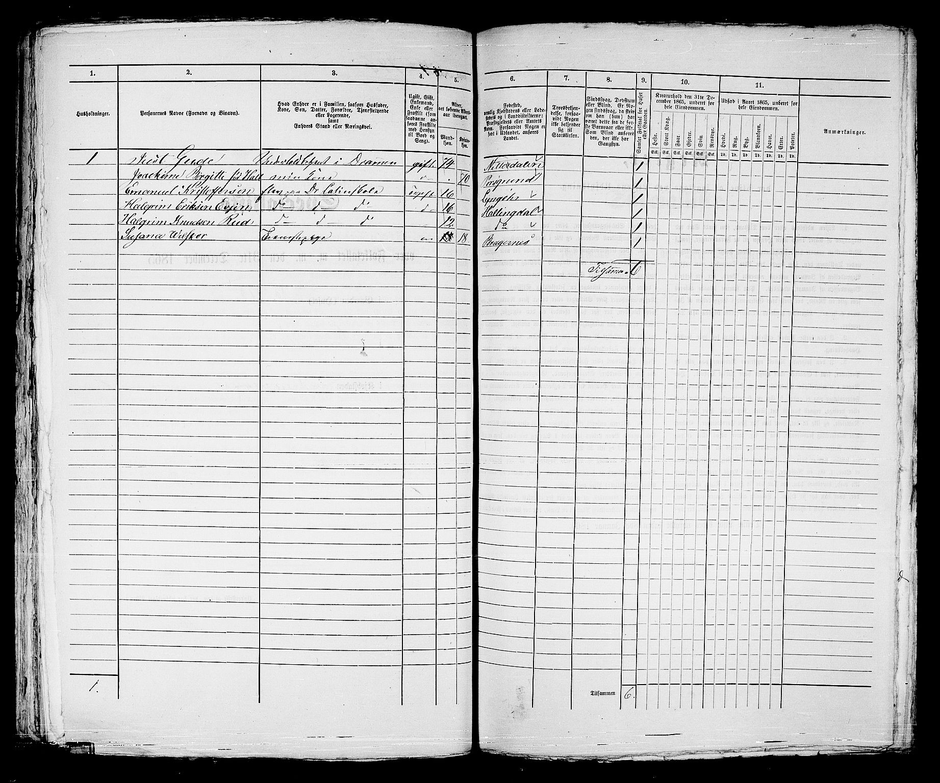 RA, Folketelling 1865 for 0602bP Strømsø prestegjeld i Drammen kjøpstad, 1865, s. 306